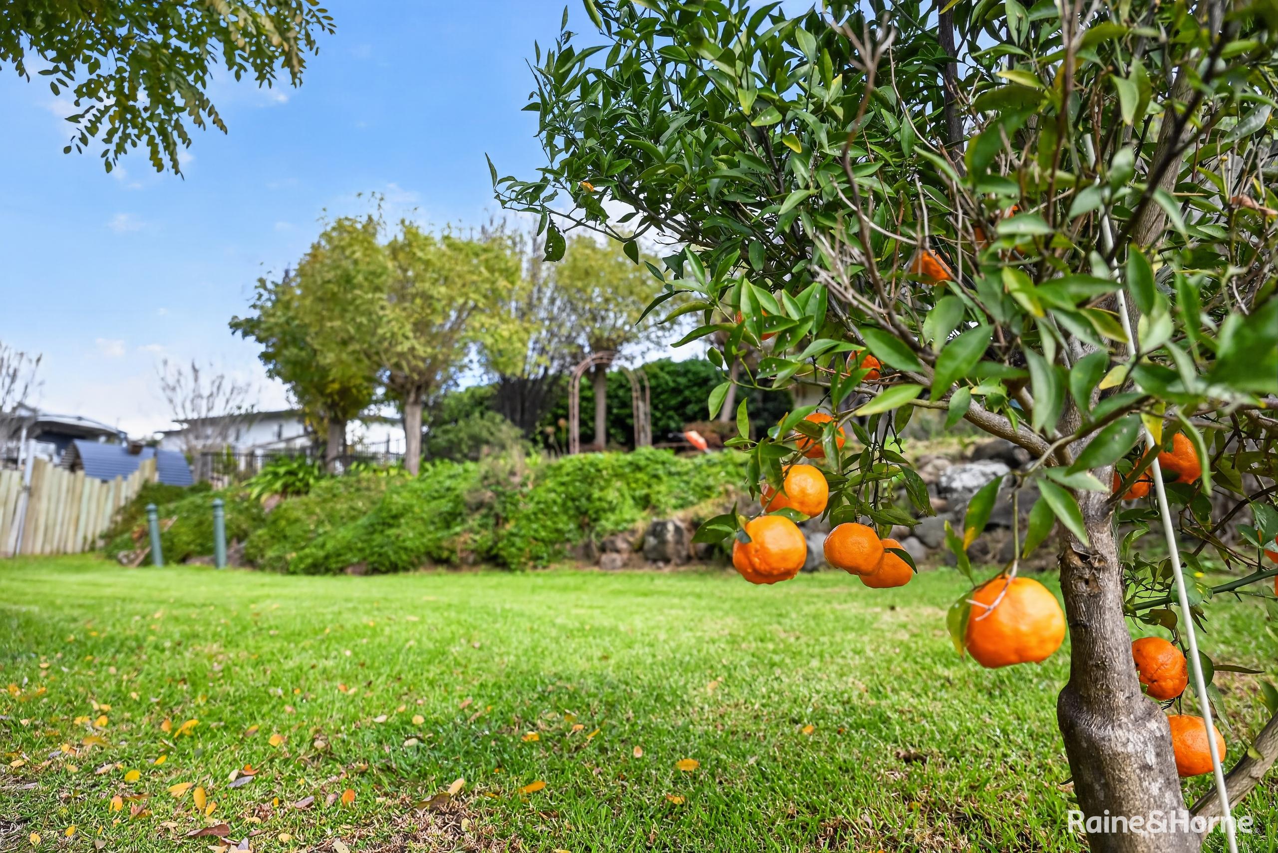 3-bedroom house at 19 CEDAR STREET, Killarney QLD 4373, Southern Downs, Queensland