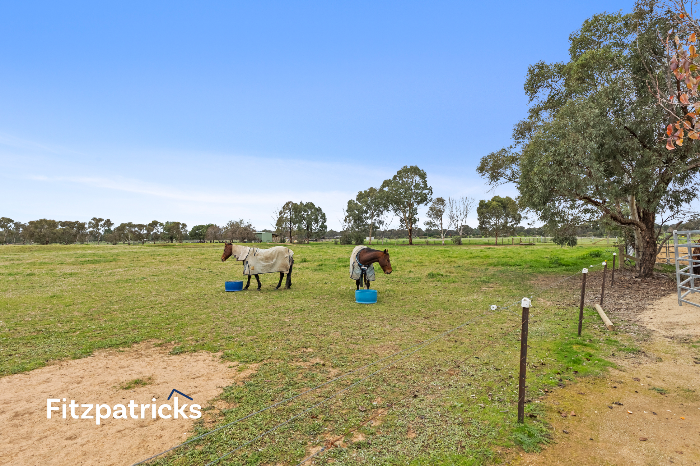 3-bedroom house at 62 Rosevale Drive, Lake Albert, NSW 2650, Wagga Wagga, New South Wales