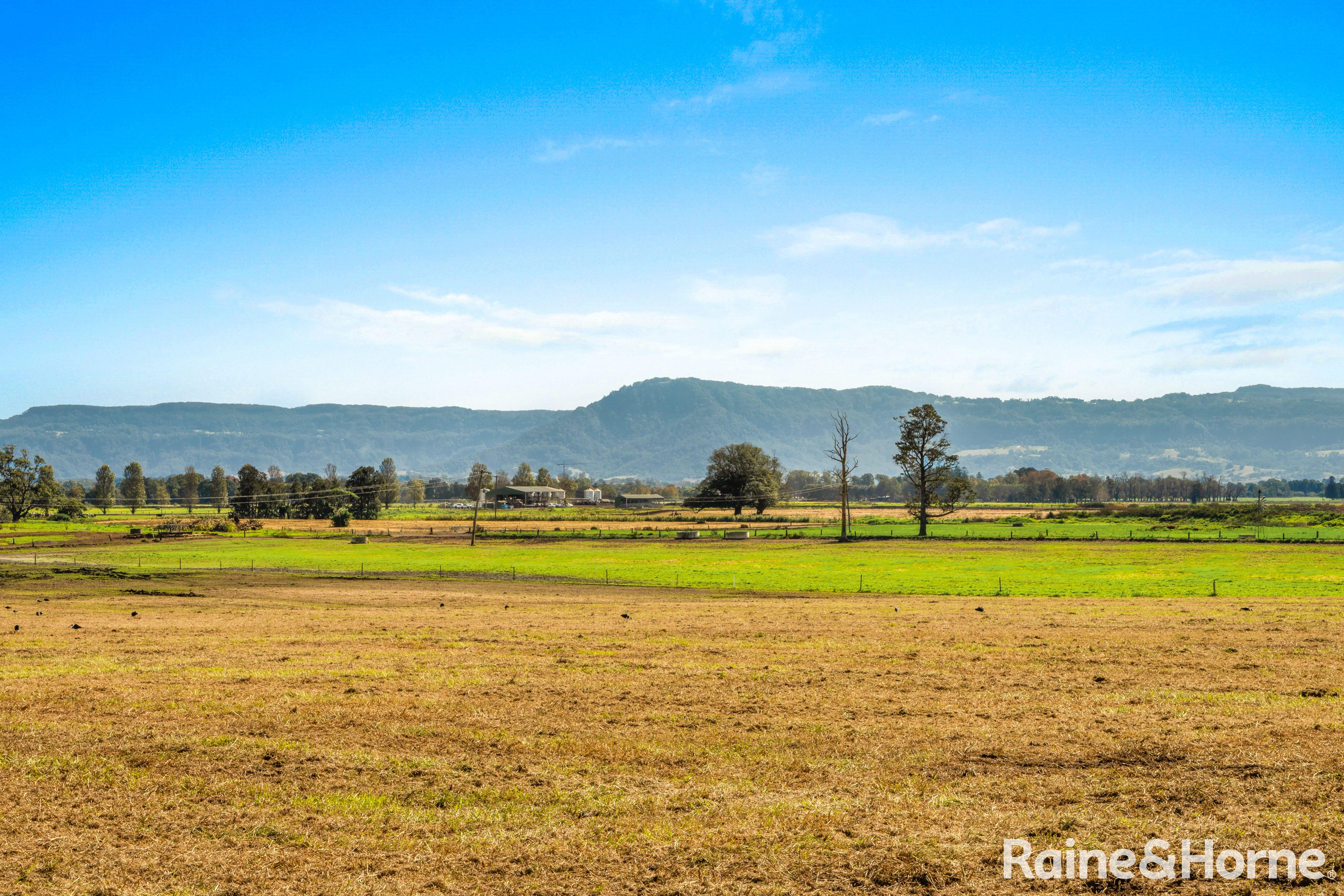 4-bedroom house at 337 Greenwell Point Road, Worrigee, NSW 2540, Shoalhaven, New South Wales