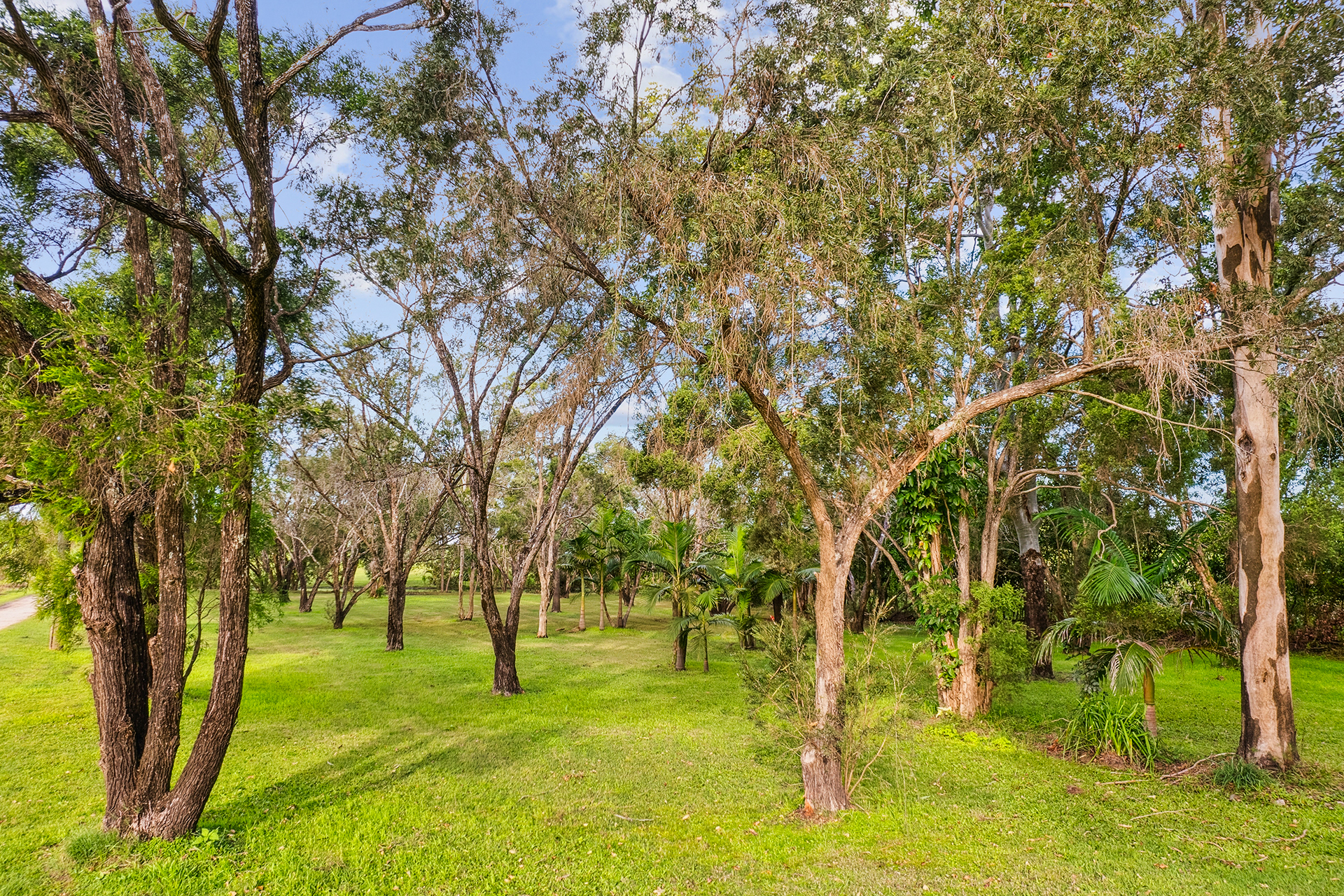 3-bedroom house at 213 NORTH ARM DRIVE, Chatsworth NSW 2469, Clarence Valley, New South Wales