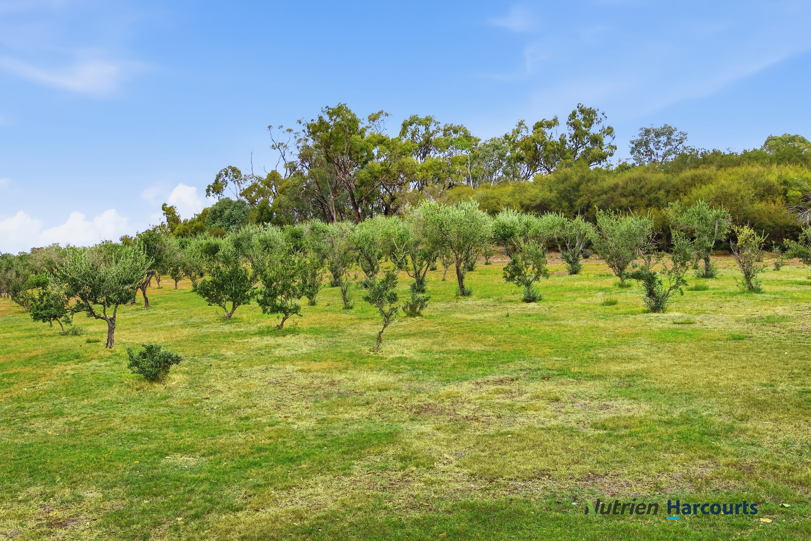 3-bedroom house at 72 Alford Avenue, Eildon, VIC 3713, Murrindindi, Victoria