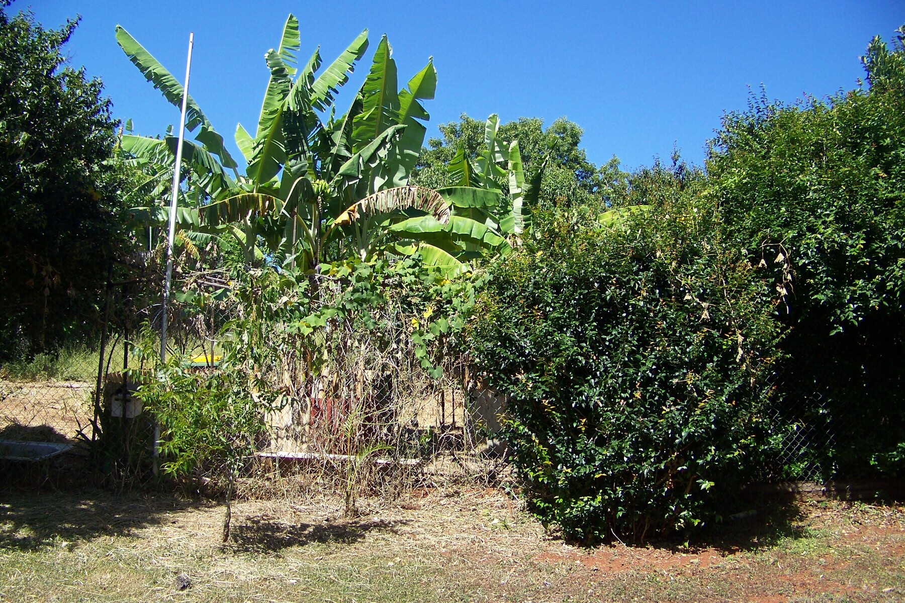 29 Pine Avenue, Lamb Island, Qld, 4184 - Image 2