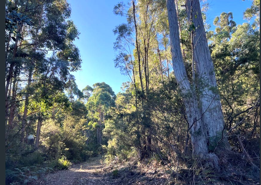 4-bedroom house at 2204 EAST TAMAR HIGHWAY, Mount Direction TAS 7252, George Town, Tasmania