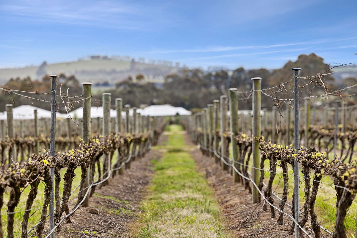 4-bedroom house at 125 Larcombes Road, Modewarre, VIC 3240, Surf Coast, Victoria
