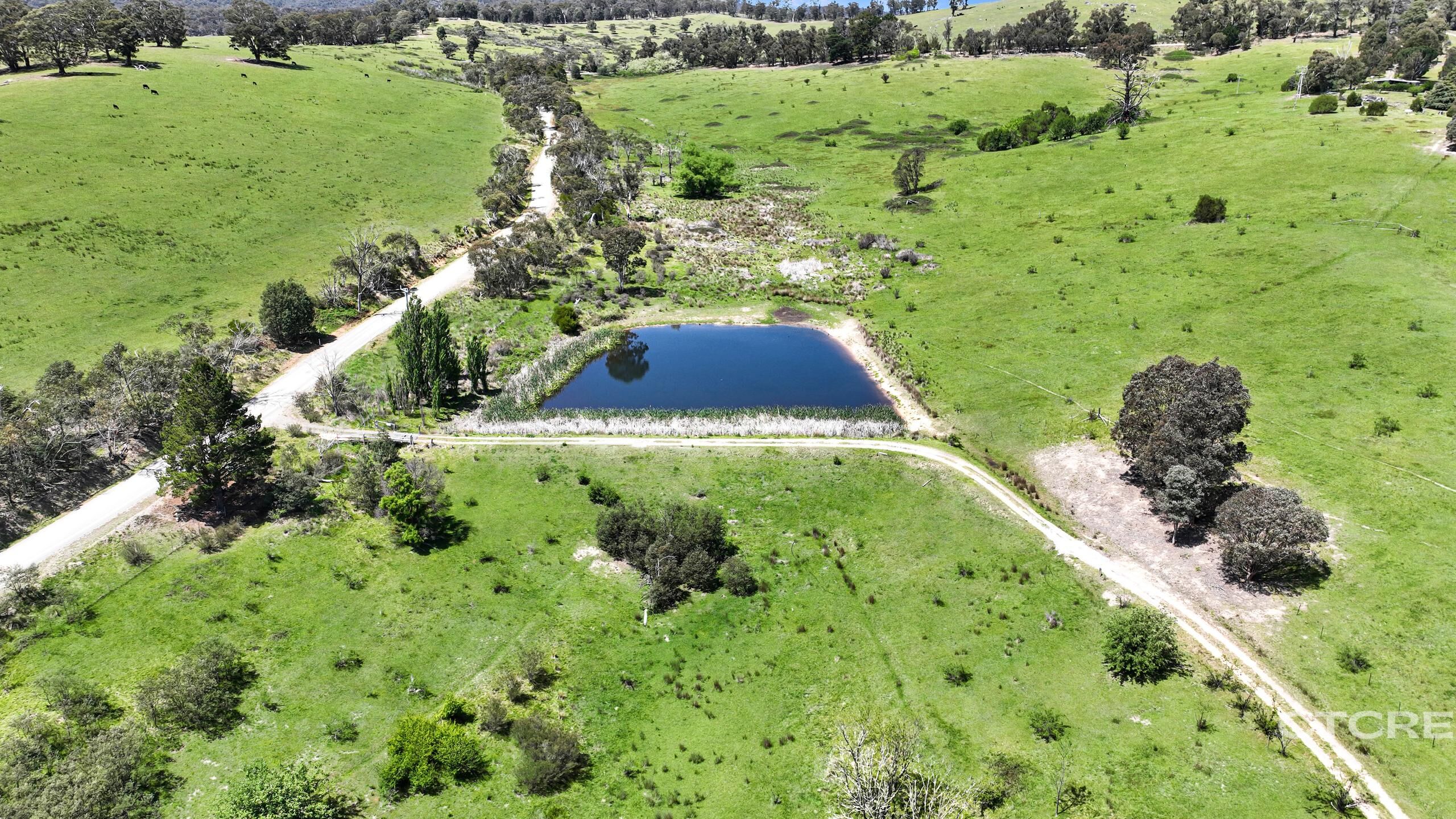 2-bedroom house at 1259 Mckillops Road, Bonang, VIC 3888, East Gippsland, Victoria