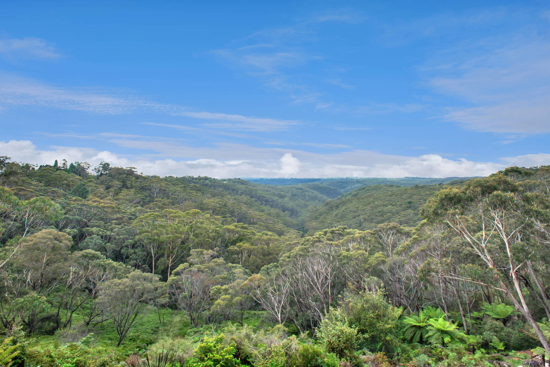 4-bedroom house at 33 HENDERSON ROAD, Wentworth Falls NSW 2782, Blue Mountains, New South Wales