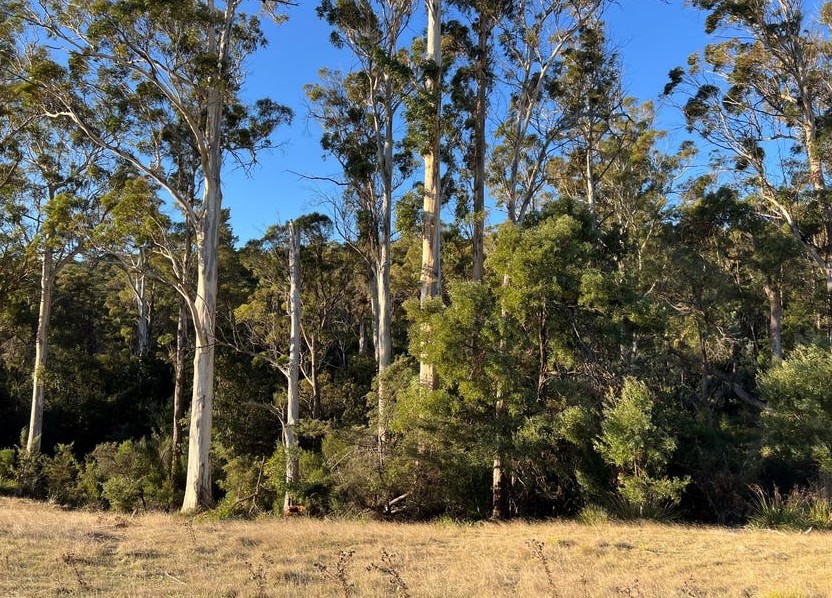4-bedroom house at 2204 EAST TAMAR HIGHWAY, Mount Direction TAS 7252, George Town, Tasmania