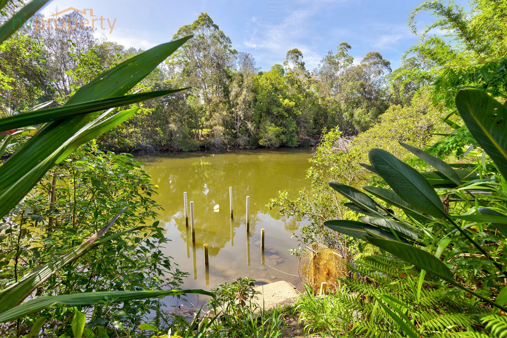 55 STURDEE STREET, Macksville NSW 2447 - Image 3