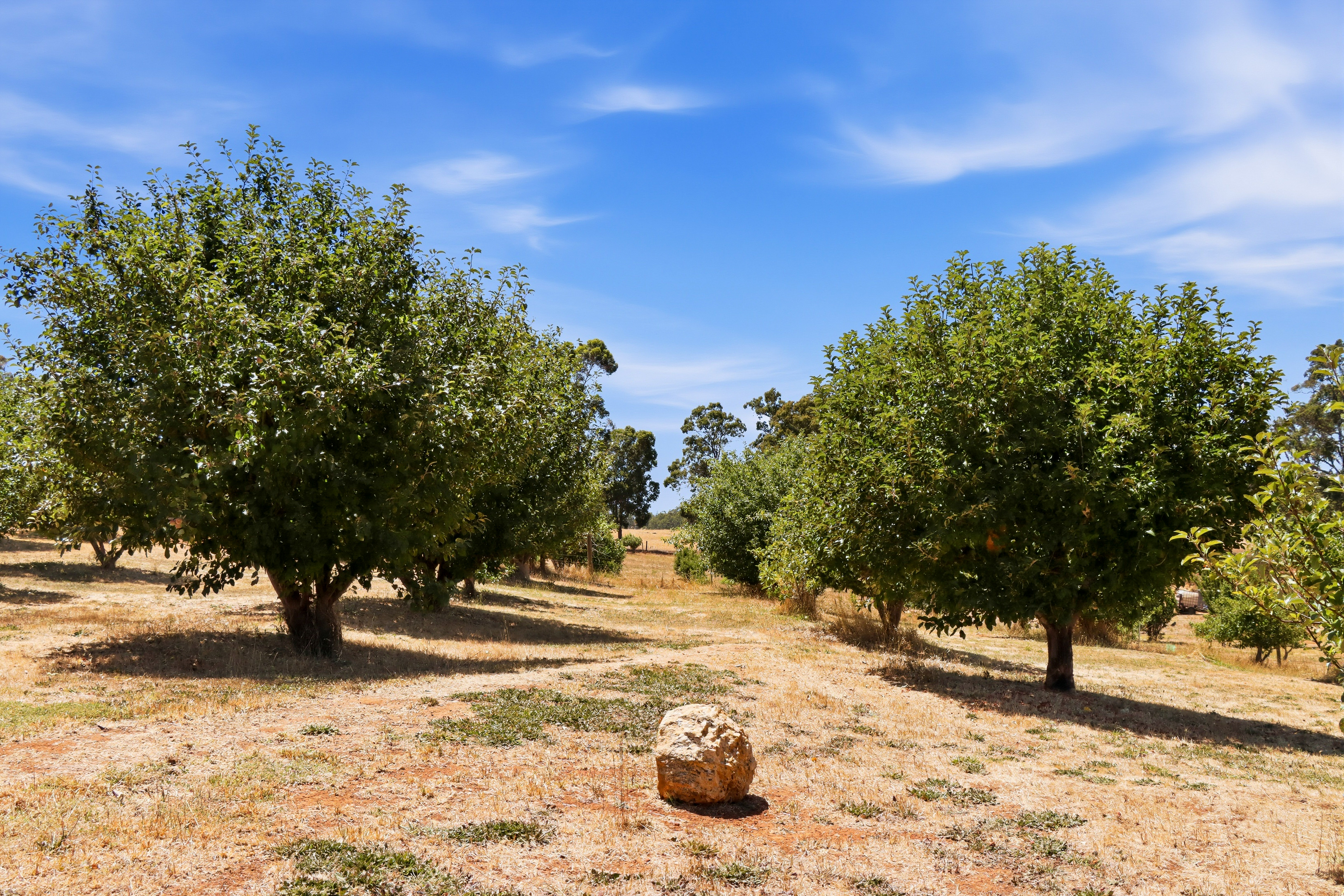 4-bedroom house at 5 MOTTRAM STREET, Bridgetown WA 6255, Bridgetown-Greenbushes, Western Australia