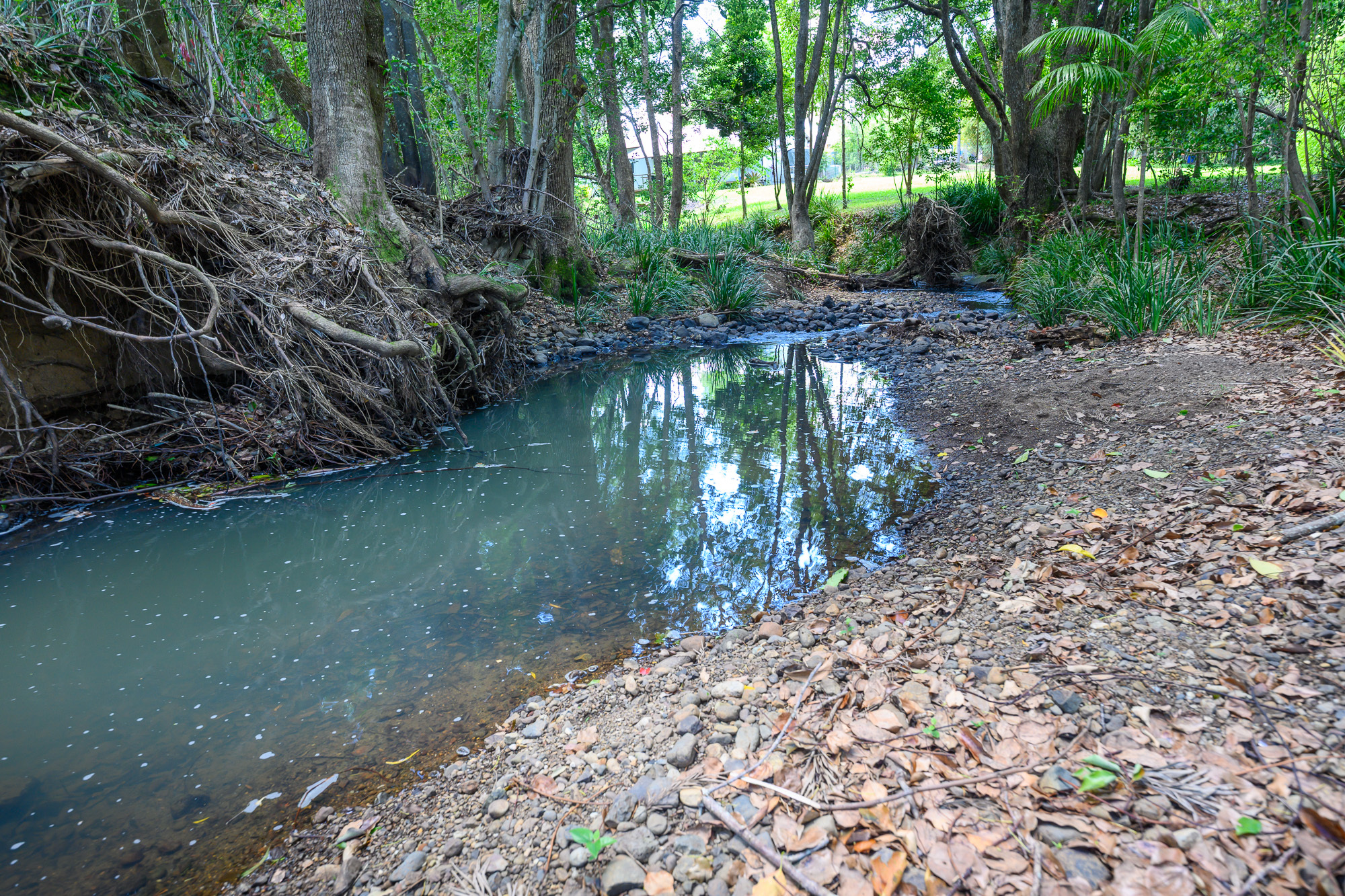 2-bedroom house at 38 Cooloon Street, Kunghur, NSW 2484, Tweed, New South Wales