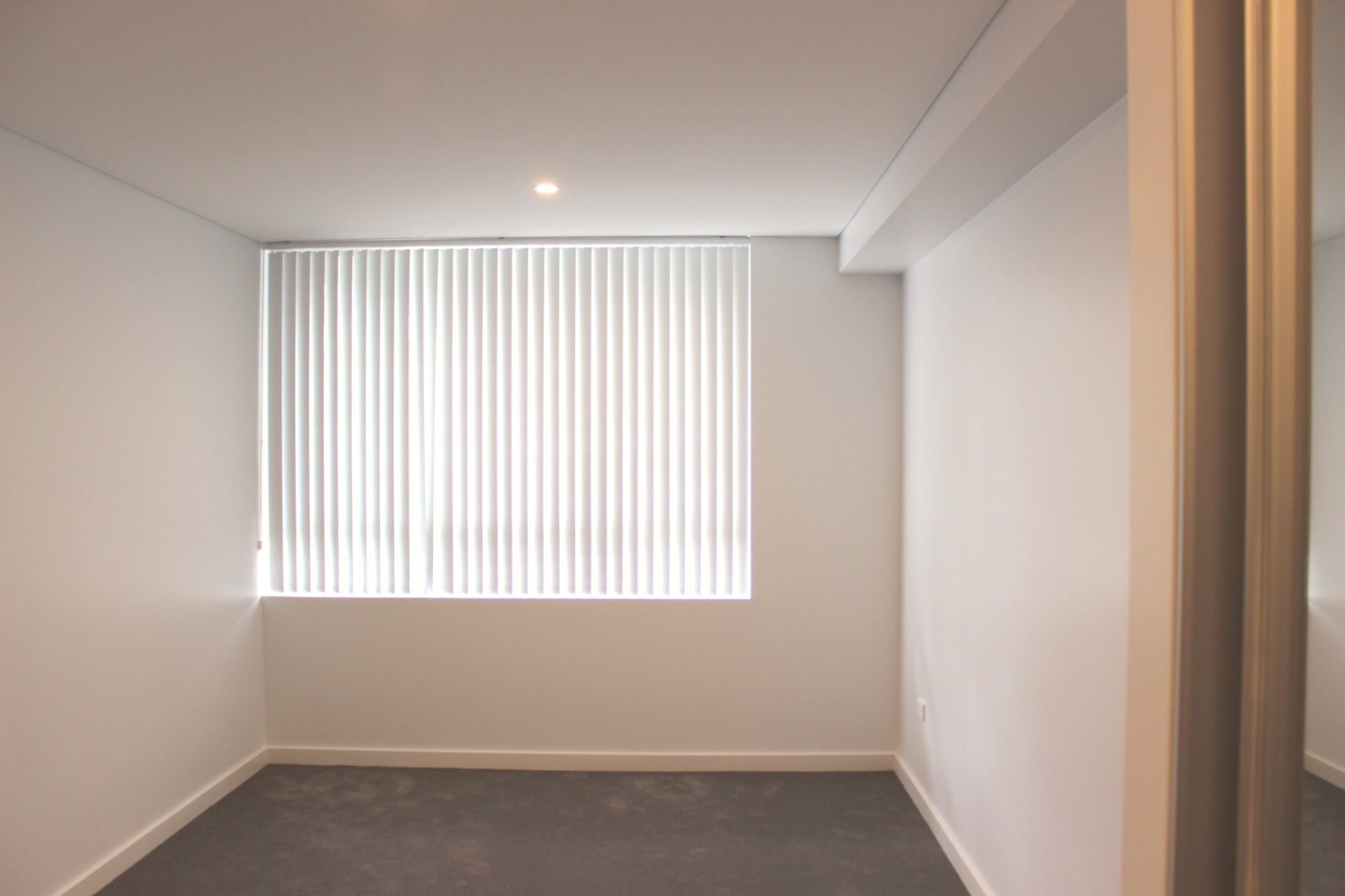 Courallie Avenue, Homebush West, Nsw, 2140 - Image 10