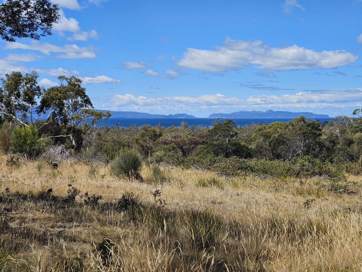5 Addison Street, Swansea, Tas, 7190 - Image 2