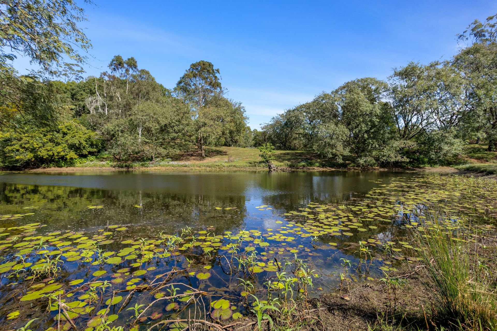 3-bedroom house at 855 CAMPBELLS POCKET ROAD, Campbells Pocket QLD 4521, , Queensland