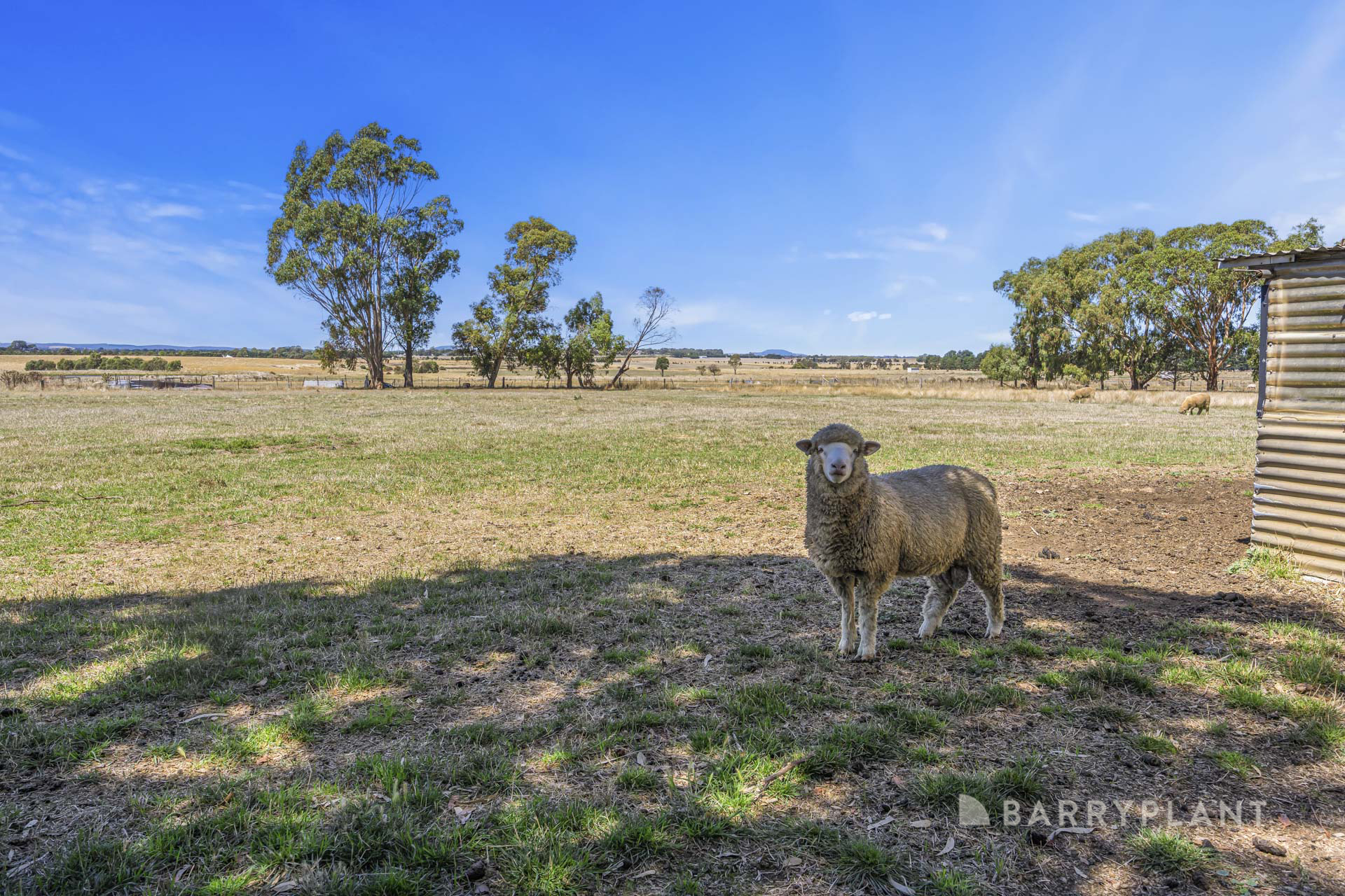 3-bedroom house at 91 Bo Peep Road, Burrumbeet, VIC 3352, Pyrenees, Victoria