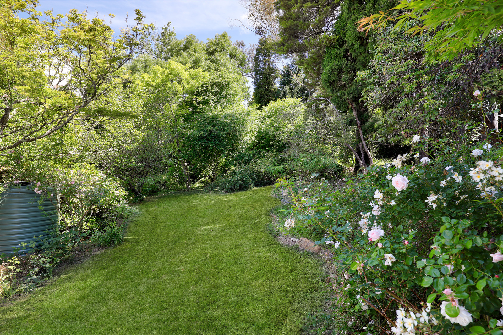 99 CRAIGEND STREET, Leura NSW 2780 - Image 3