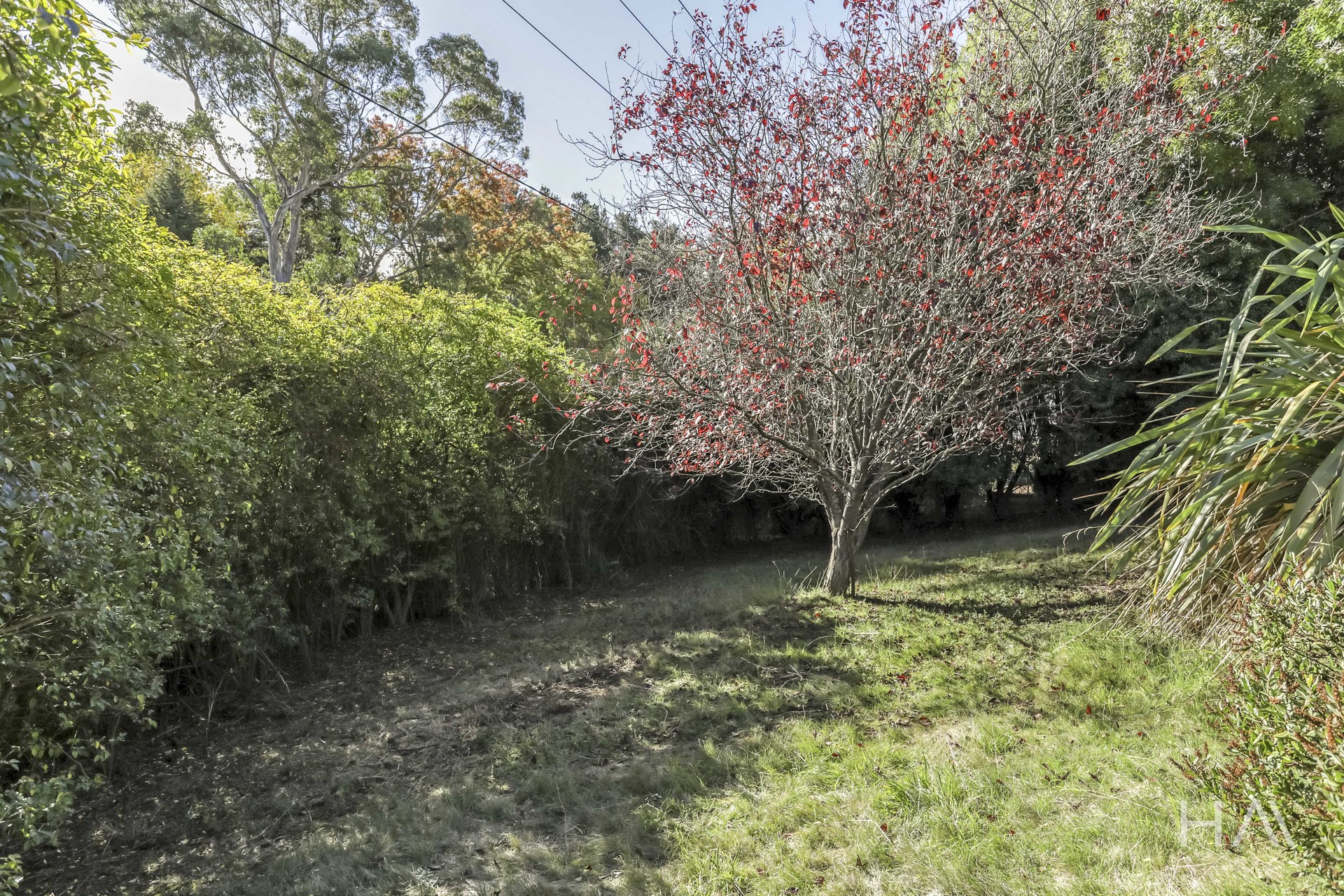 4-bedroom house at 64 ALLISON AVENUE, Riverside TAS 7250, West Tamar, Tasmania