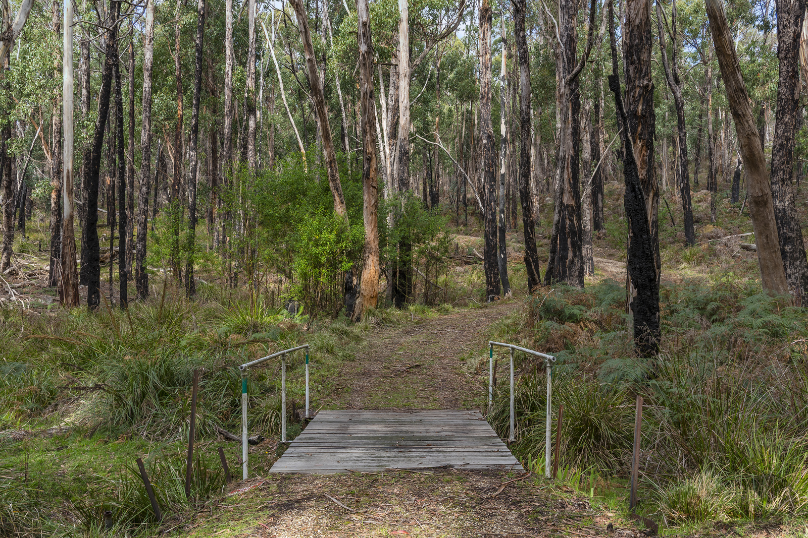 3-bedroom house at 71 Long Ryans Road, Benloch, VIC 3435, Macedon Ranges, Victoria