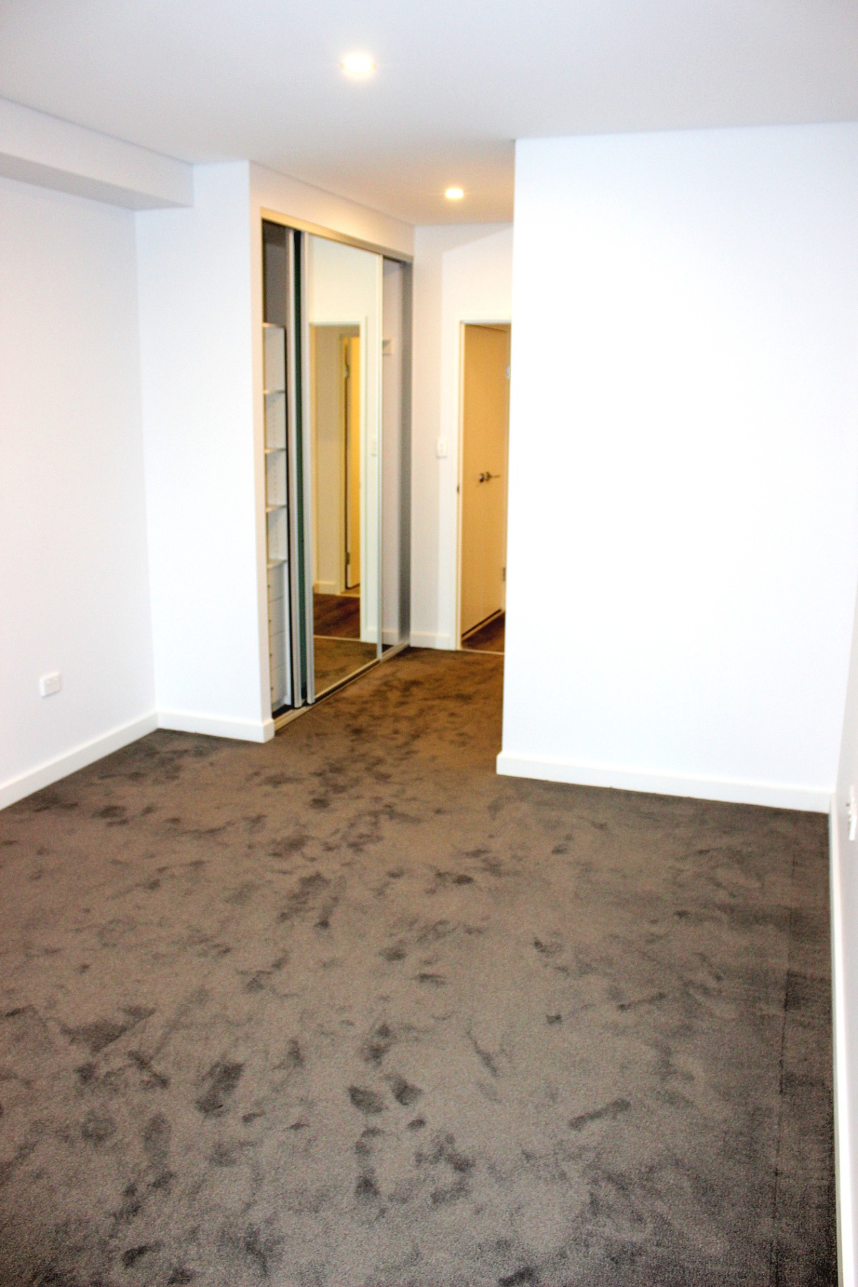 Courallie Avenue, Homebush West, Nsw, 2140 - Image 9