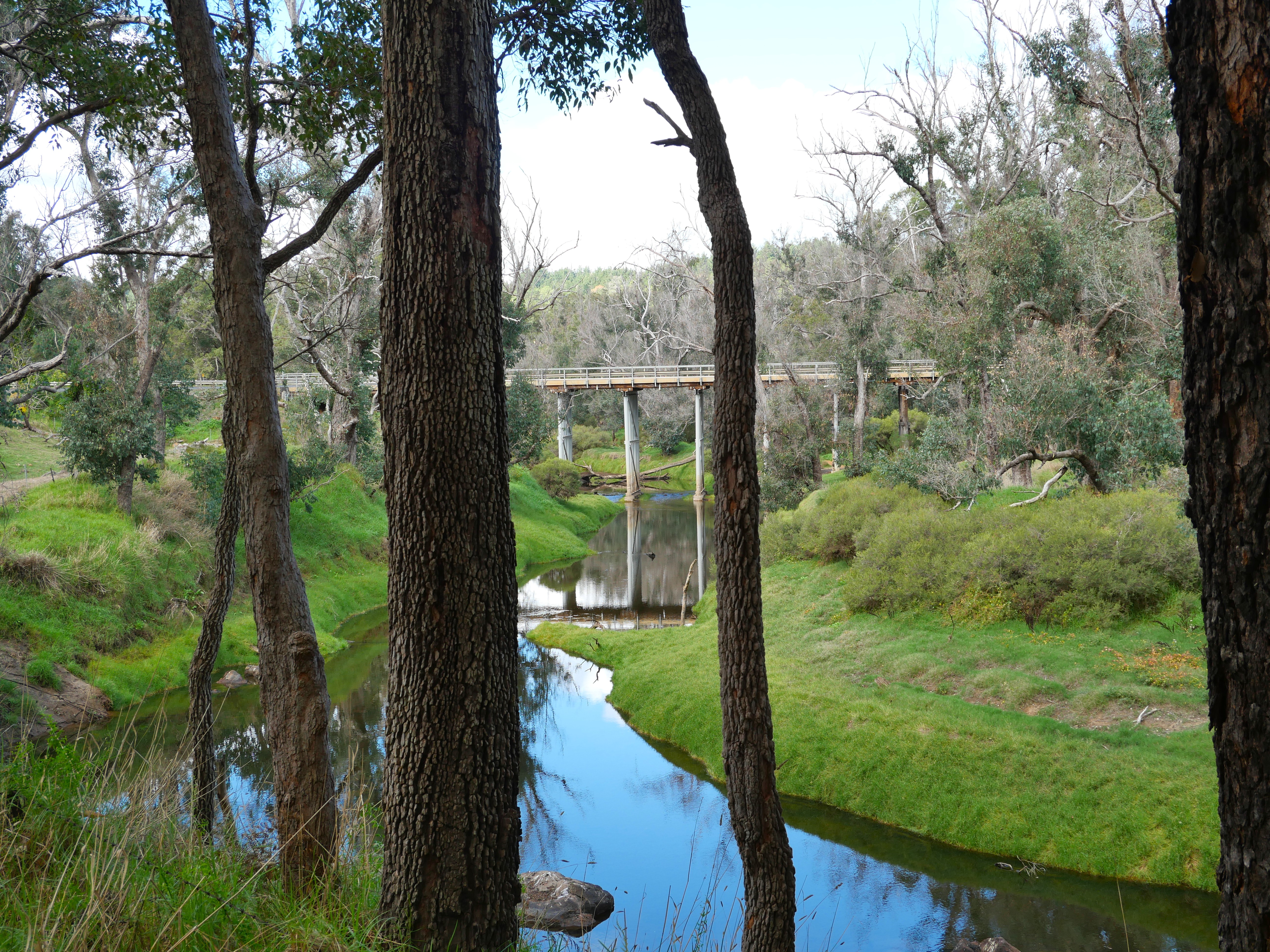 Lot 140 Vasse Highway, Nannup, Wa, 6275 - Image 1