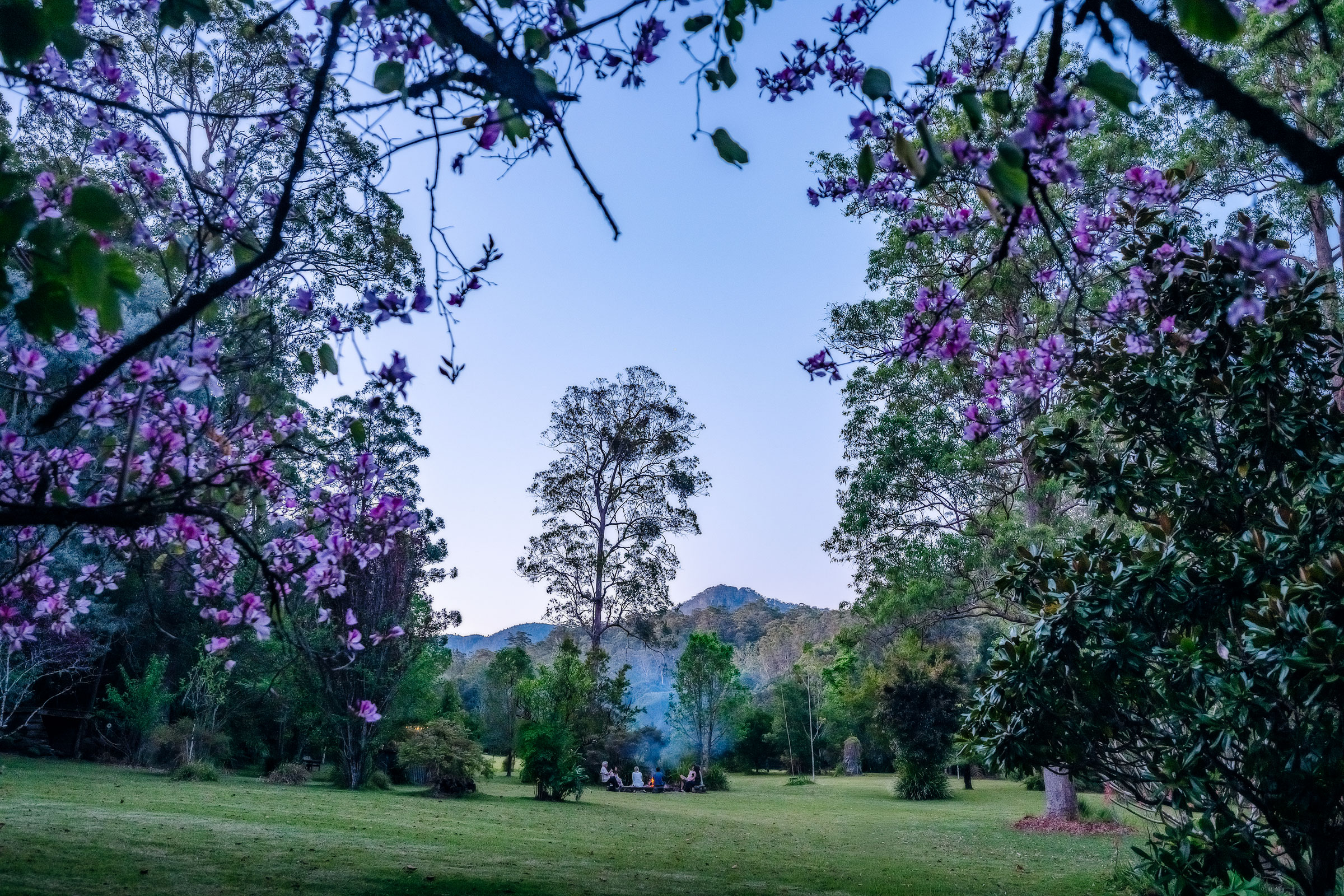 816 Summervilles Road, Bellingen, Nsw, 2454 - Image 6