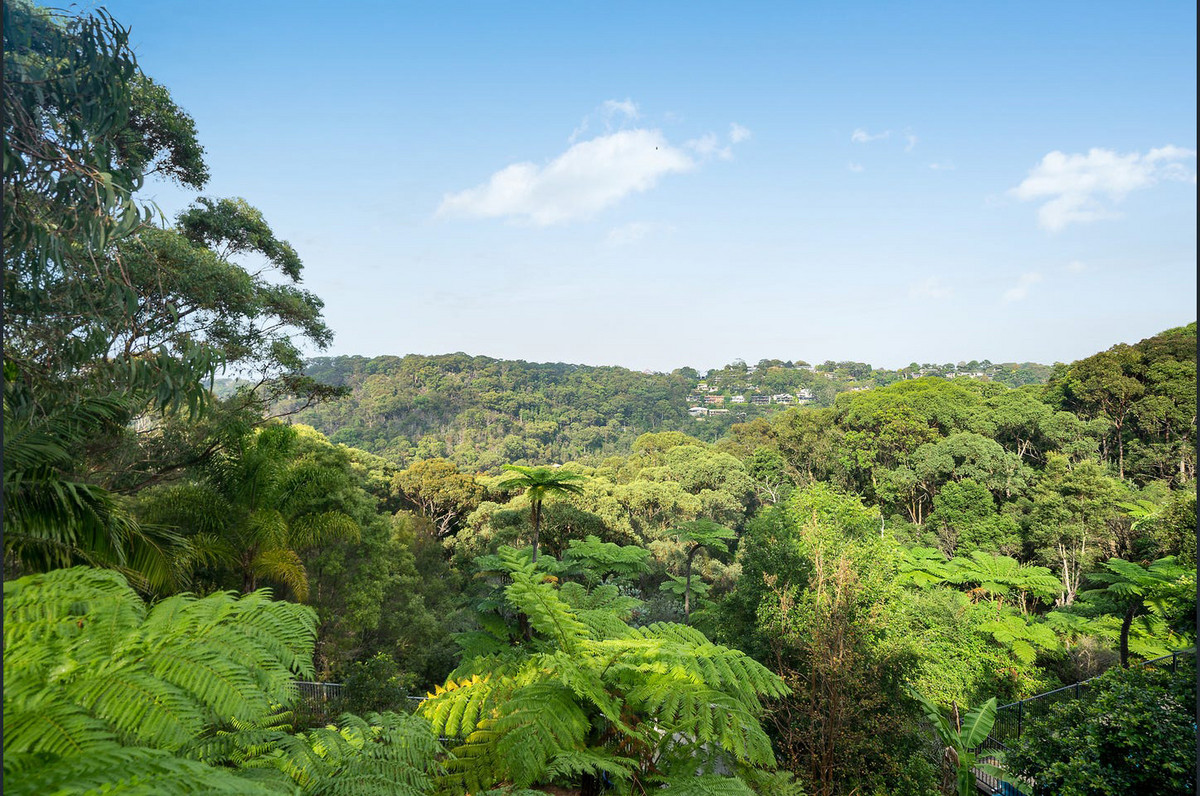 4-bedroom house at 203 Deepwater Road, Castle Cove, NSW 2069, Willoughby, New South Wales