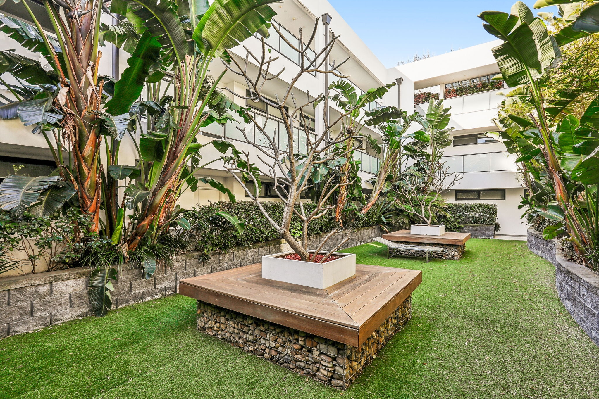 7/904 Botany Road, Mascot, Nsw, 2020 - Image 7