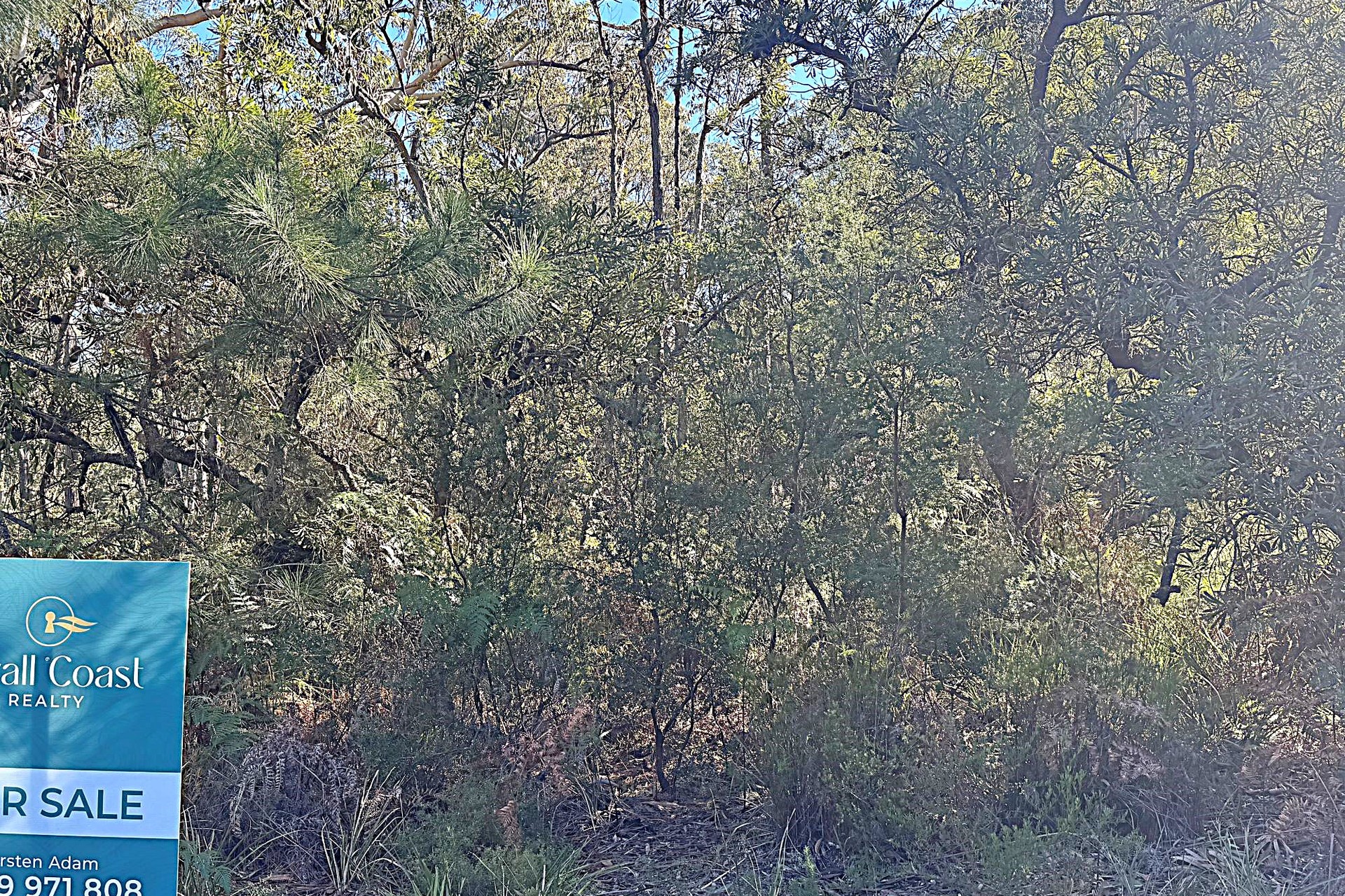 10 Nardoo Street, Pindimar, Nsw, 2324 - Image 2