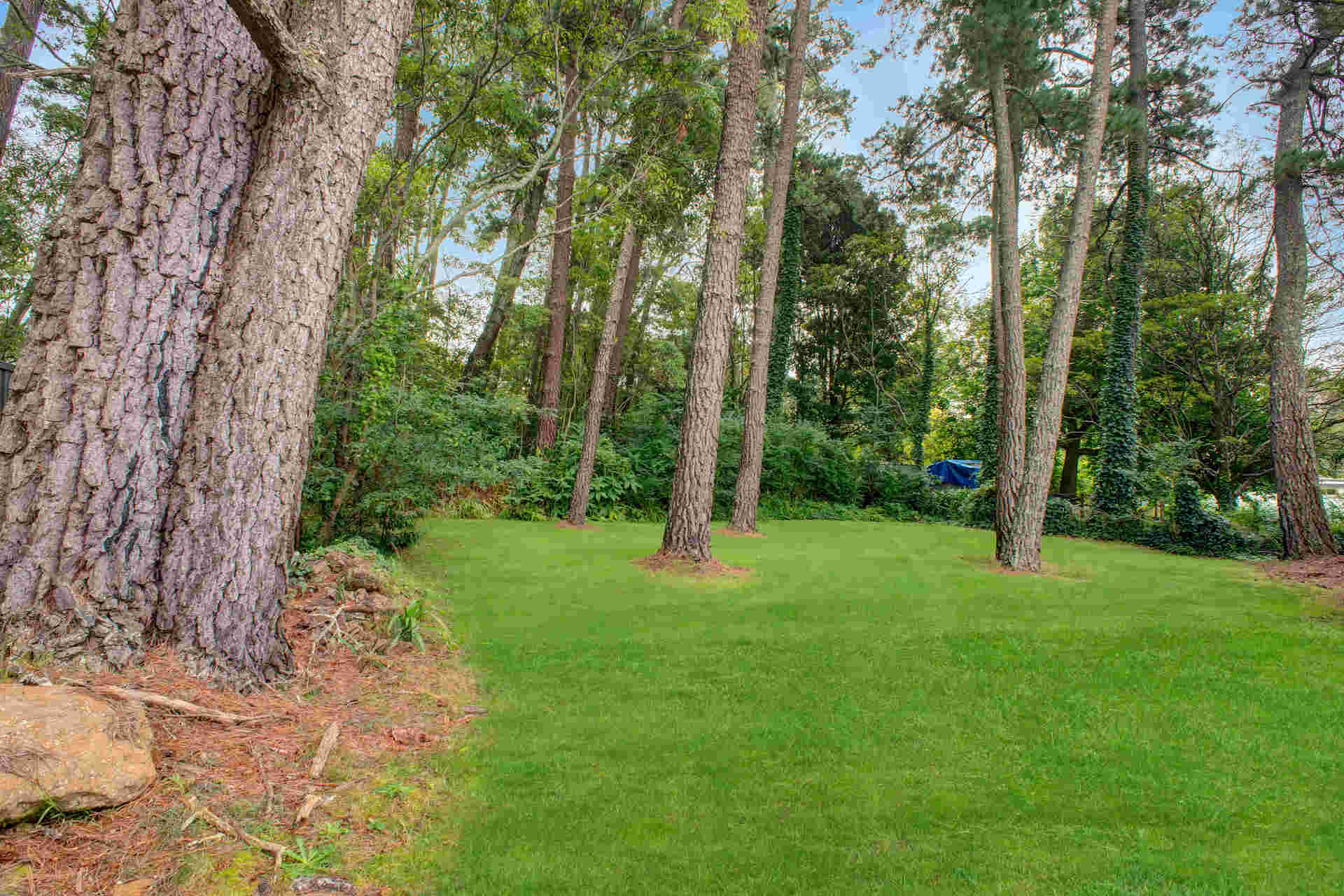 2-bedroom house at 6 De Quency Road, Bullaburra, Nsw, 2784, Blue Mountains, New South Wales