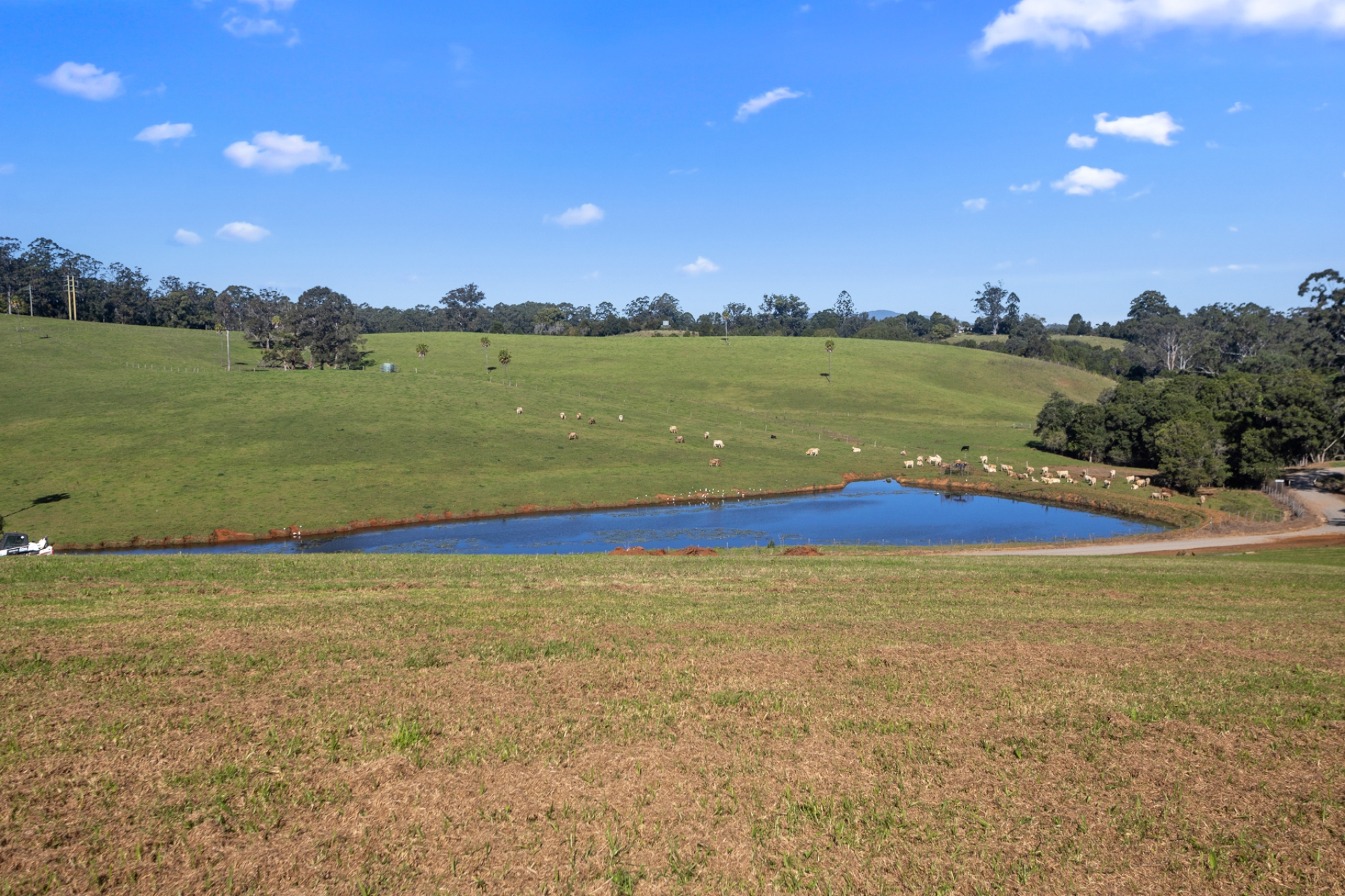 Lots 4-11 Soldier Settlers Road, Newee Creek, Nsw, 2447 - Image 9