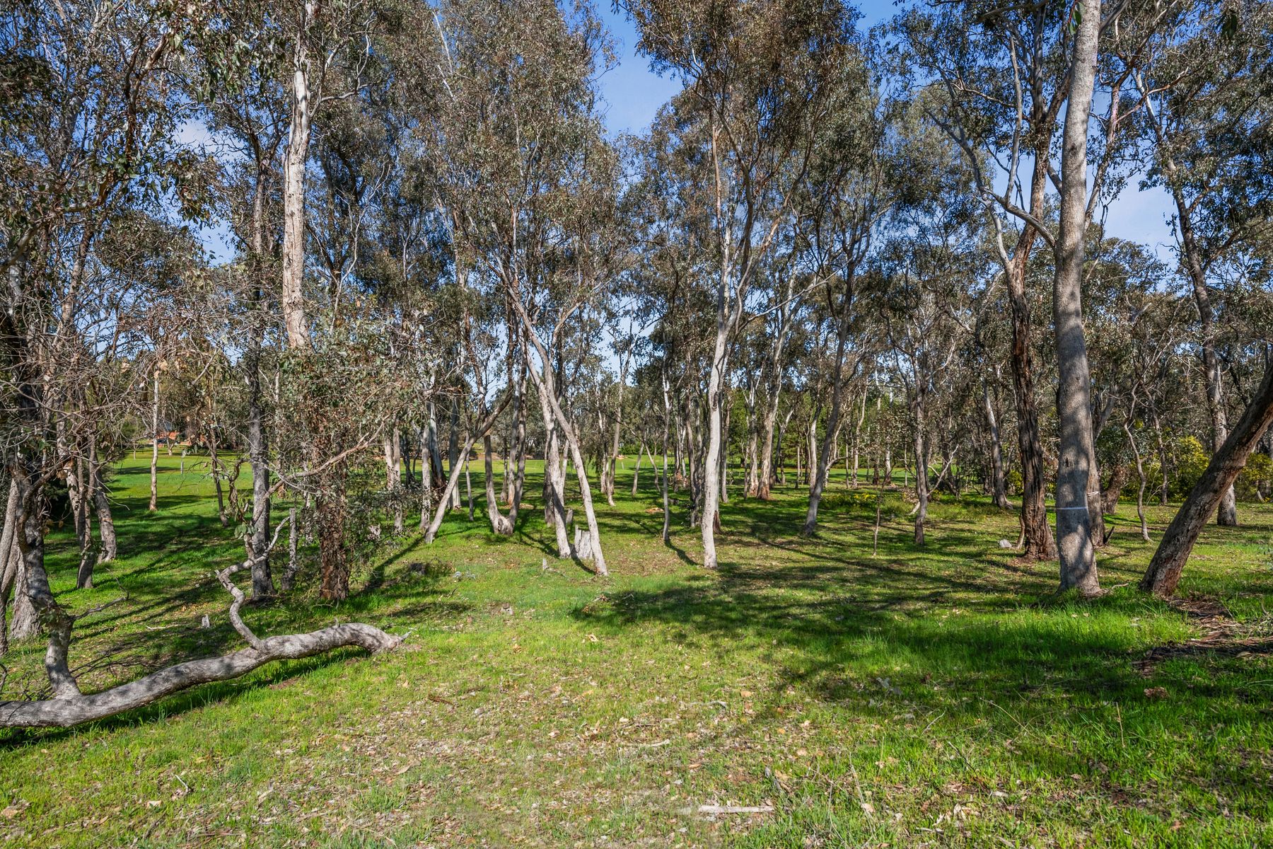 158 Sinclairs Road, Strathfieldsaye, Vic, 3551 - Image 8