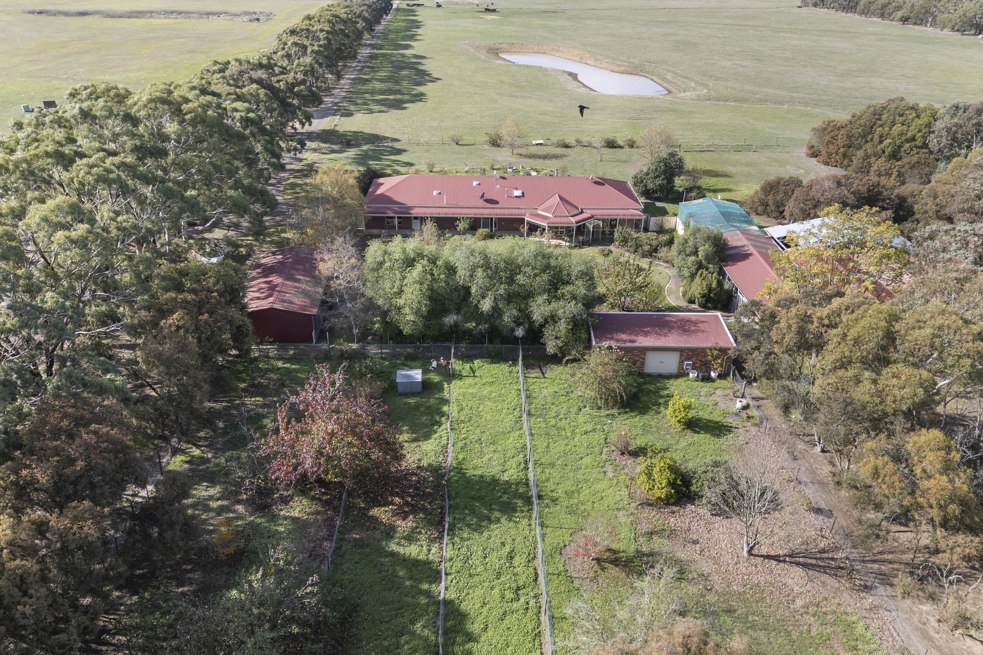 4-bedroom house at 226 Wilsons Road, Haddon, VIC 3351, Golden Plains, Victoria