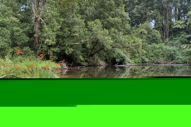 1622 Kalang Road, Bellingen, Nsw, 2454 - Image 1