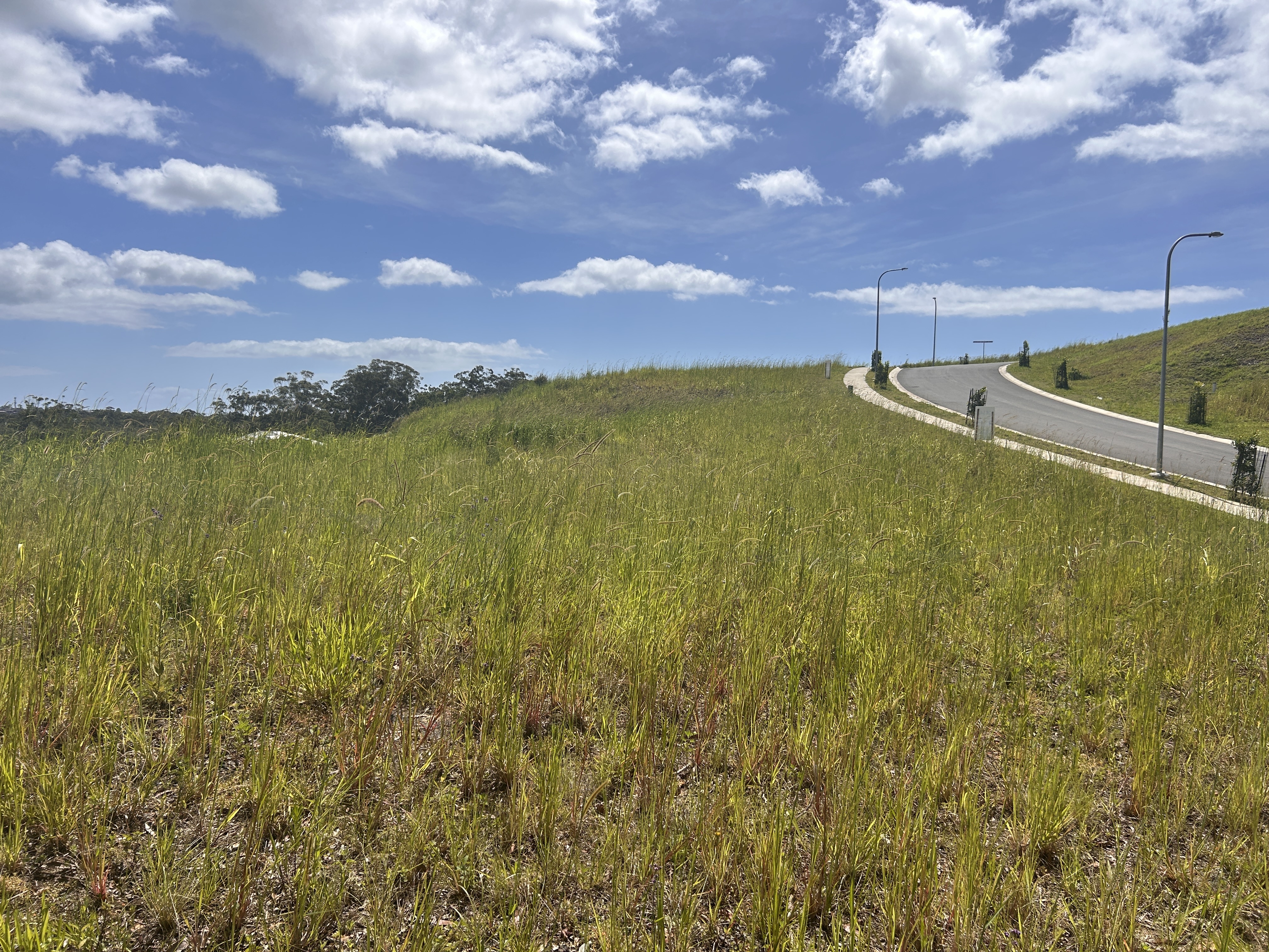 15 Song Trl, Coffs Harbour, Nsw, 2450 - Image 8
