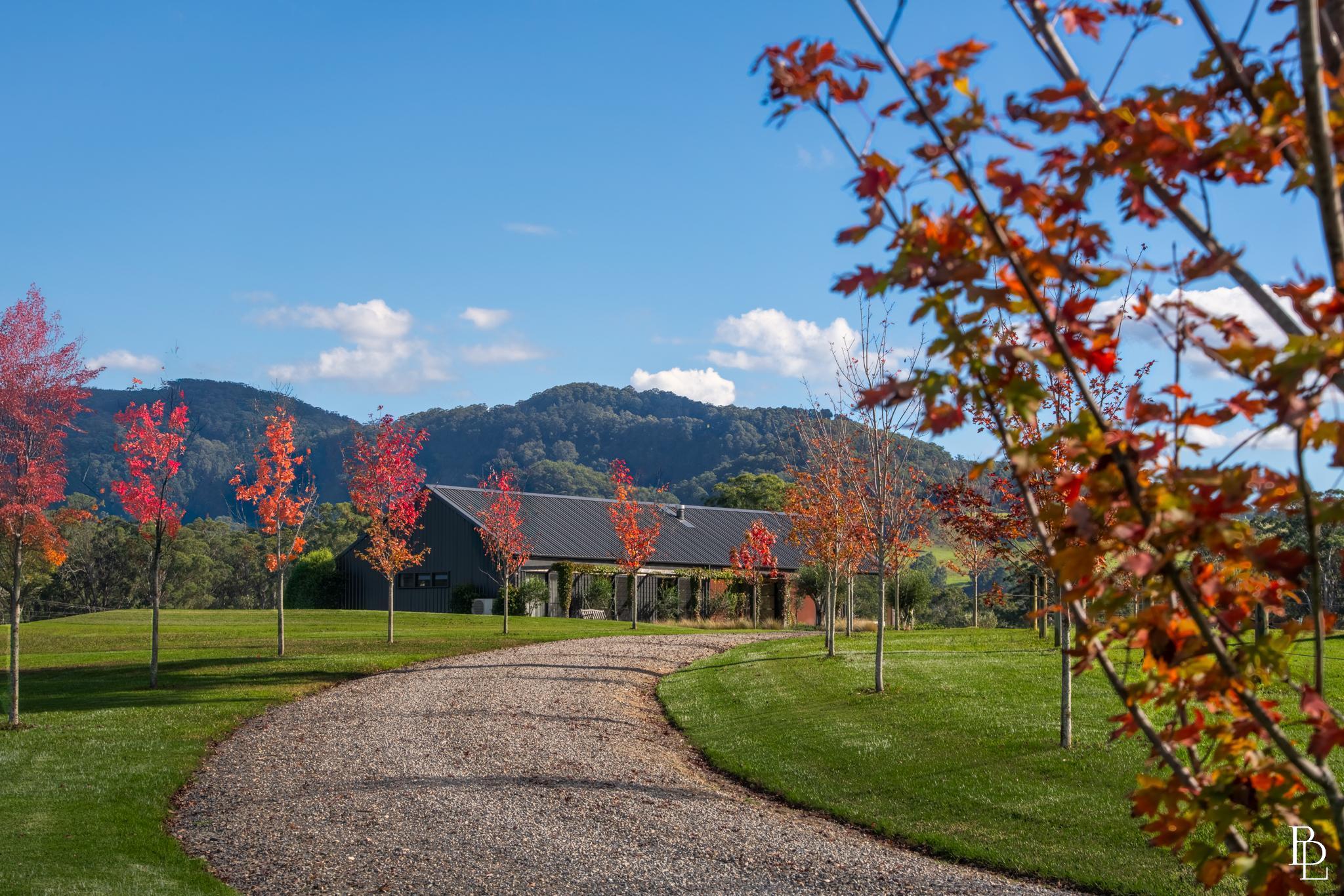 65D Glenmurray Road, Kangaroo Valley, NSW 2577 - Image 4
