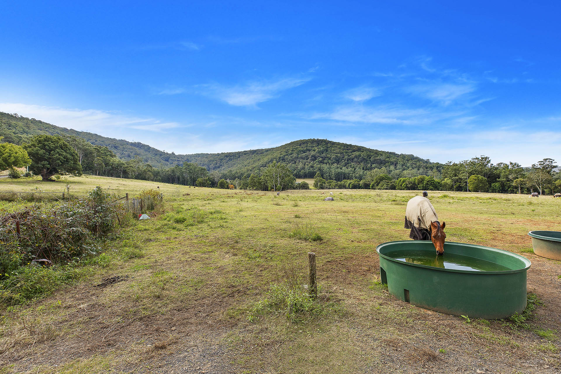 1-bedroom house at 1519 Yarramalong Road, Yarramalong, NSW 2259, , New South Wales