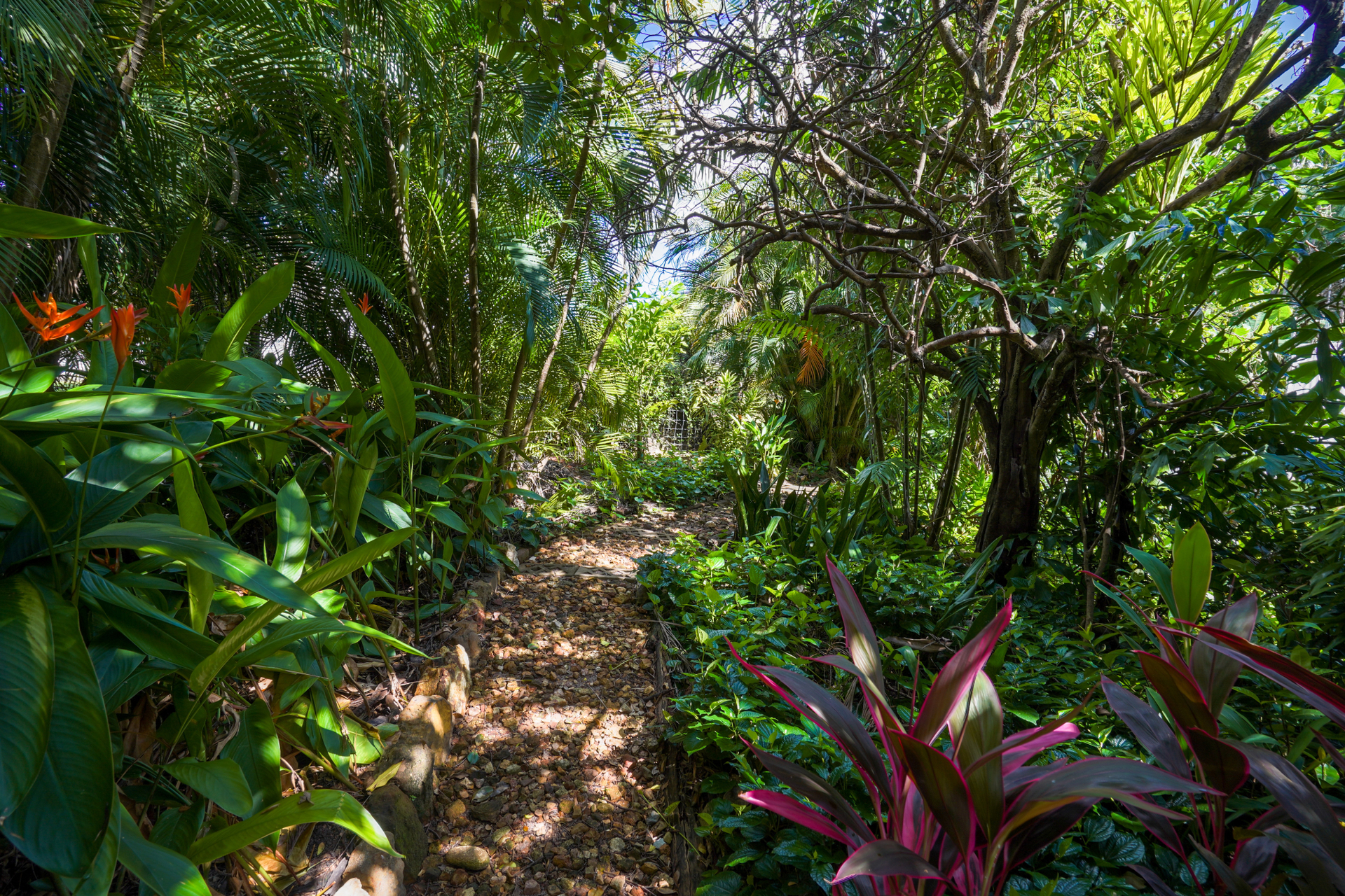3-bedroom house at 34 WELLS STREET, Ludmilla NT 0820, Darwin, Northern Territory