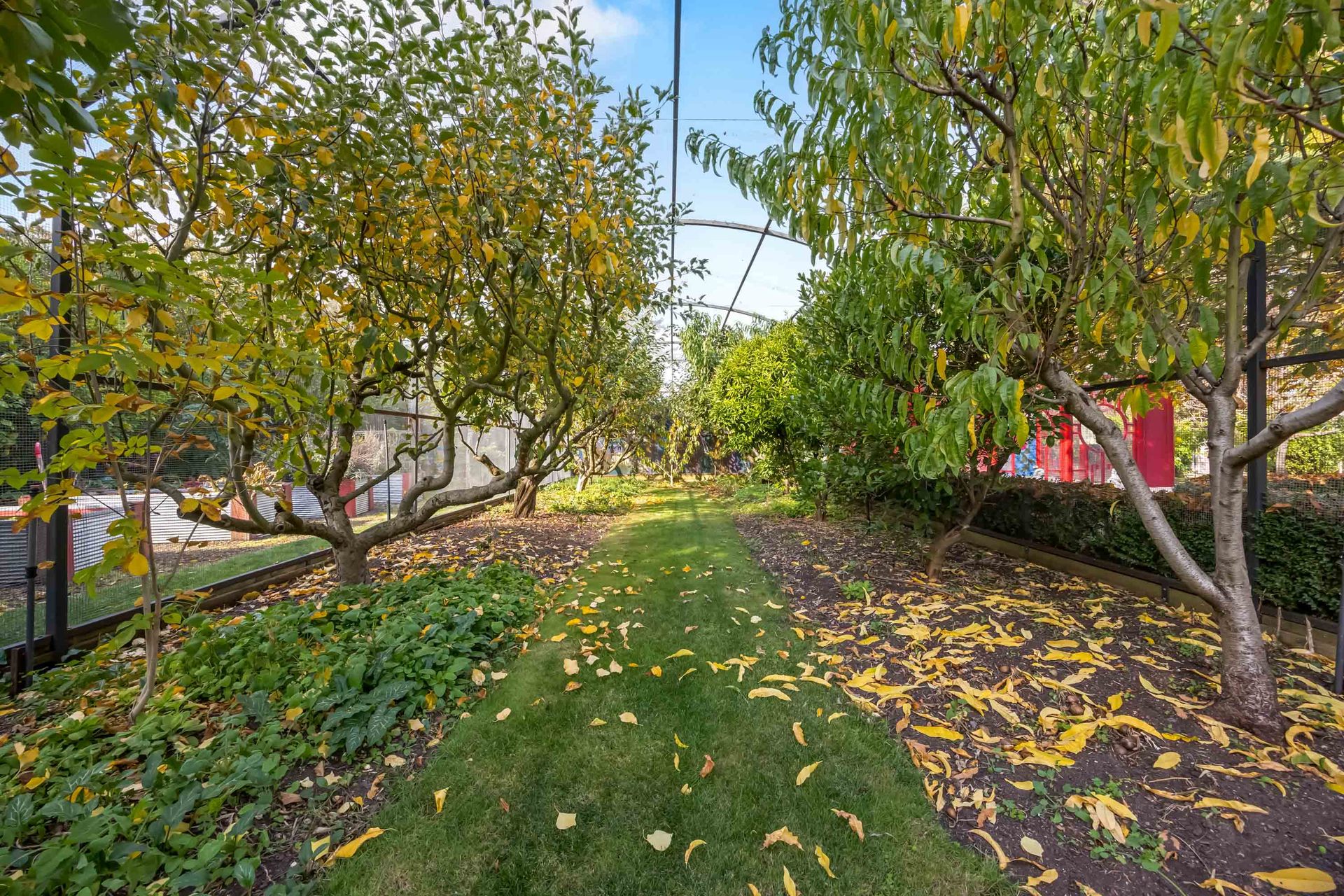 4-bedroom house at 336 WENDOUREE PARADE, Lake Wendouree VIC 3350, Ballarat, Victoria