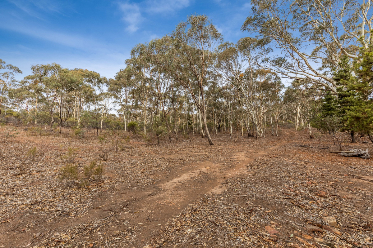 Sec 15 Mitchell Lane, Wedderburn, Vic, 3518 - Image 8