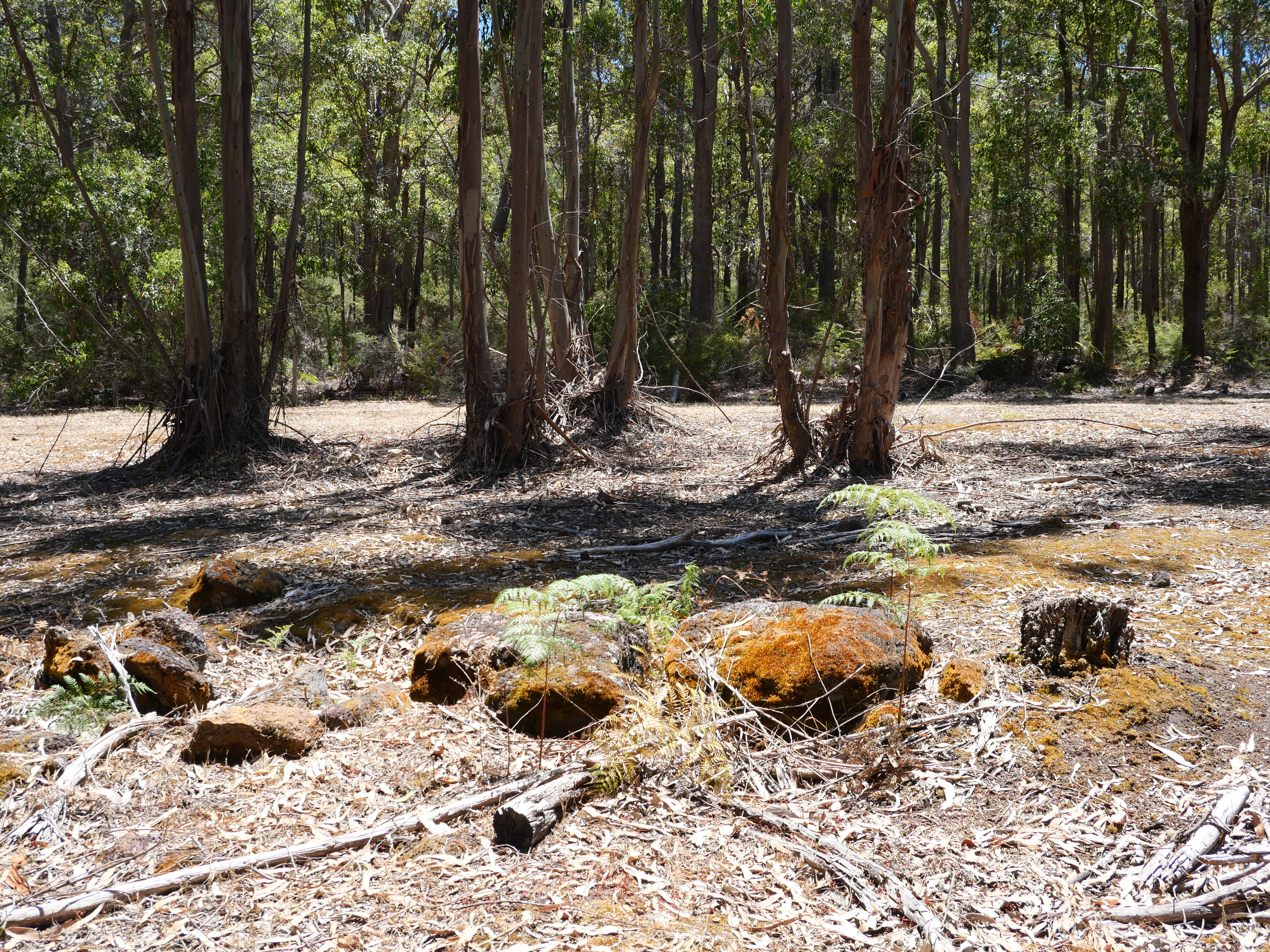 1-bedroom unit at 61 Hayes Road, East Nannup, WA 6275, Nannup, Western Australia