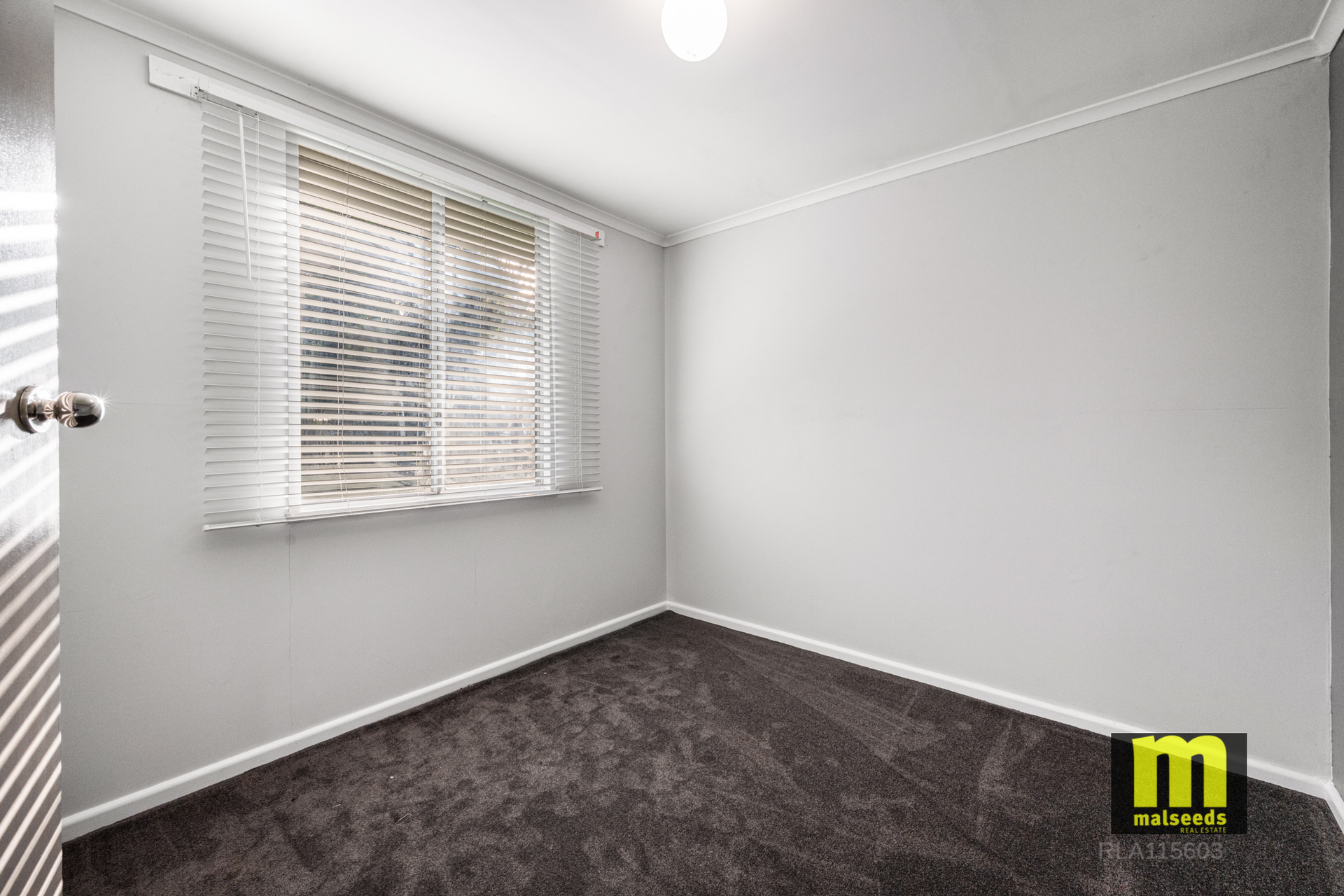 3-bedroom house at 29765 Princes Highway, Millicent, SA 5280, Wattle Range, South Australia