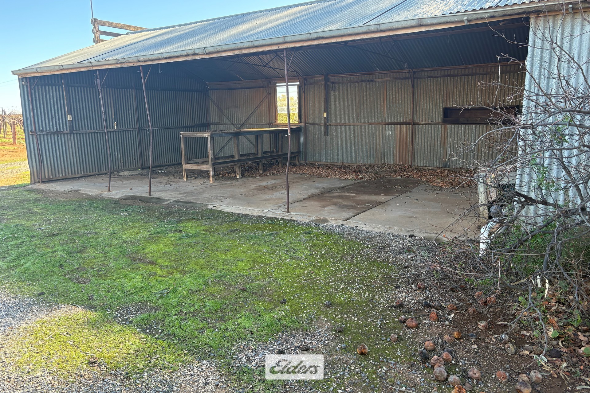 3-bedroom house at 113 Crete Road, Robinvale, VIC 3549, Swan Hill, Victoria