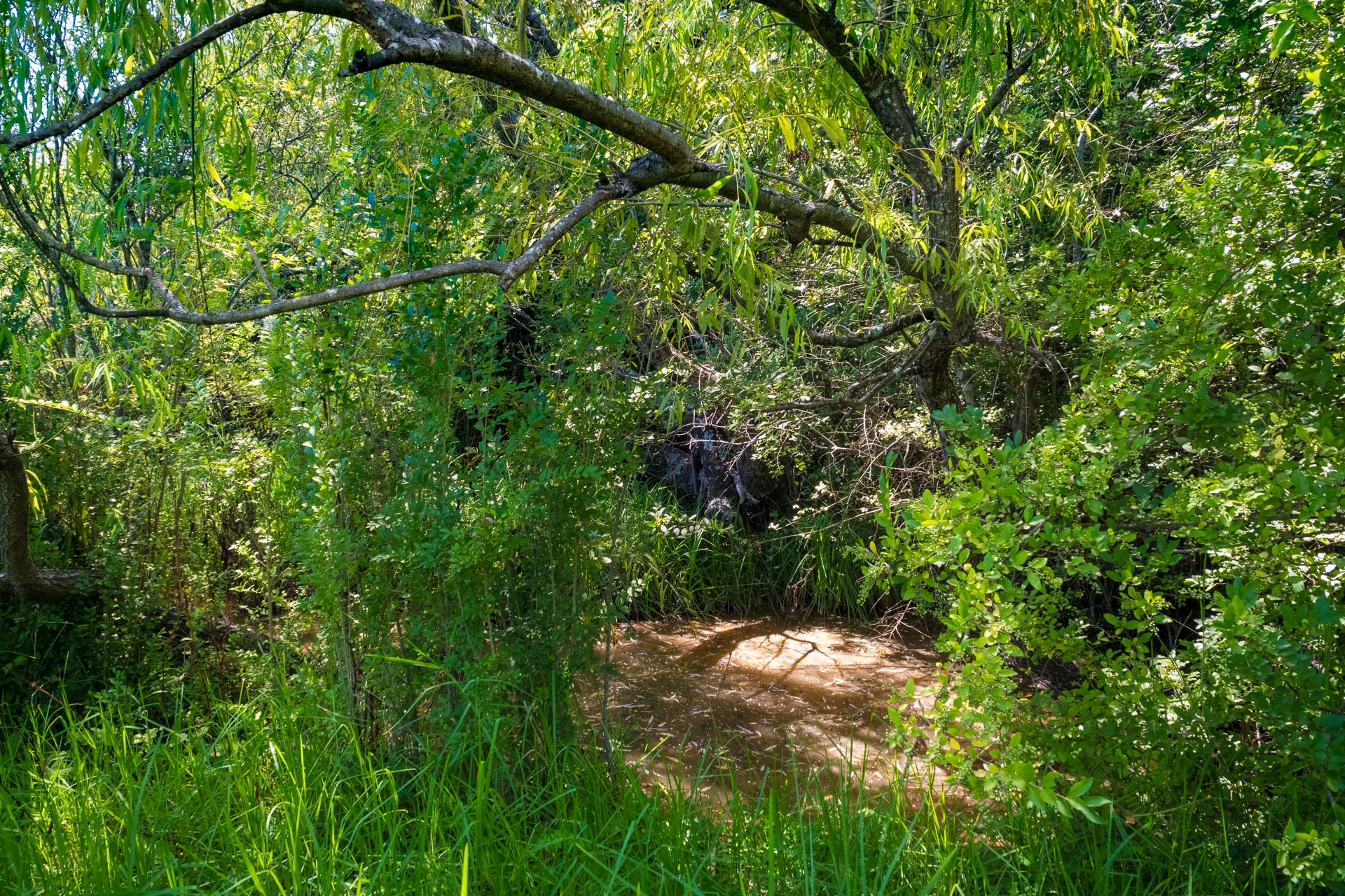 4-bedroom house at 86 Garfields Road, Numbugga, NSW 2550, Bega Valley, New South Wales