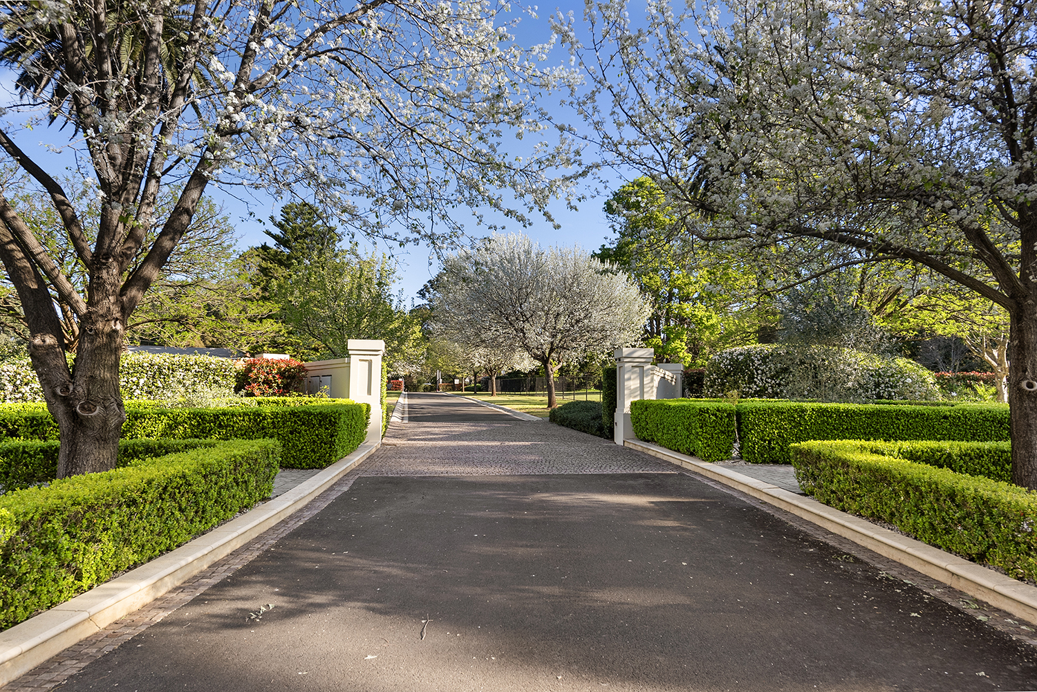 269 Cobbitty Road, Cobbitty, NSW 2570 - Image 6