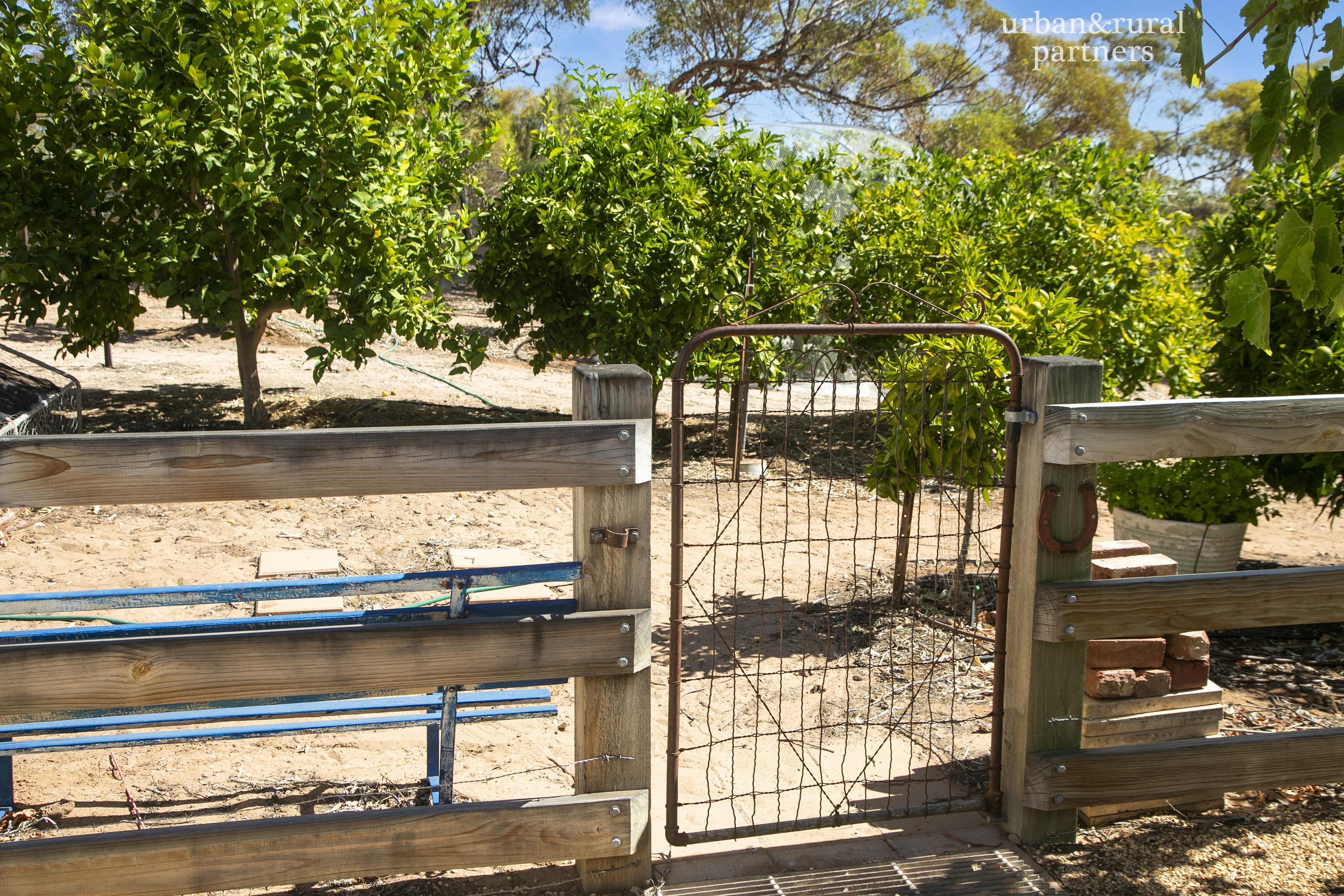 3-bedroom house at 162 Old Murbko Road, Morgan, Sa, 5320, Mid Murray, South Australia