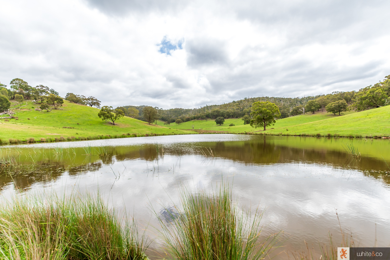 200 Dalls Road, Whittlesea, Vic, 3757 - Image 3