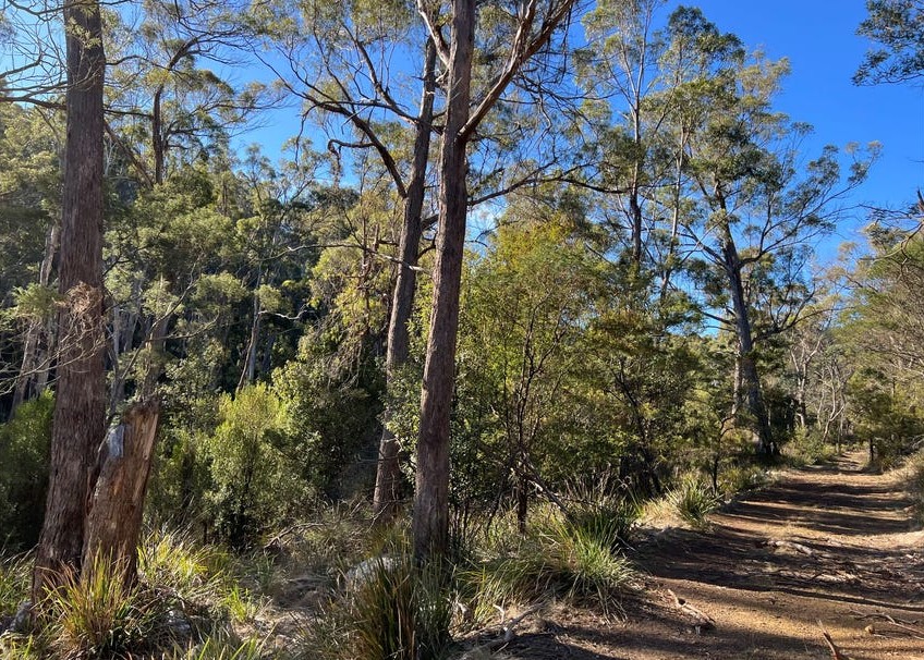 4-bedroom house at 2204 EAST TAMAR HIGHWAY, Mount Direction TAS 7252, George Town, Tasmania
