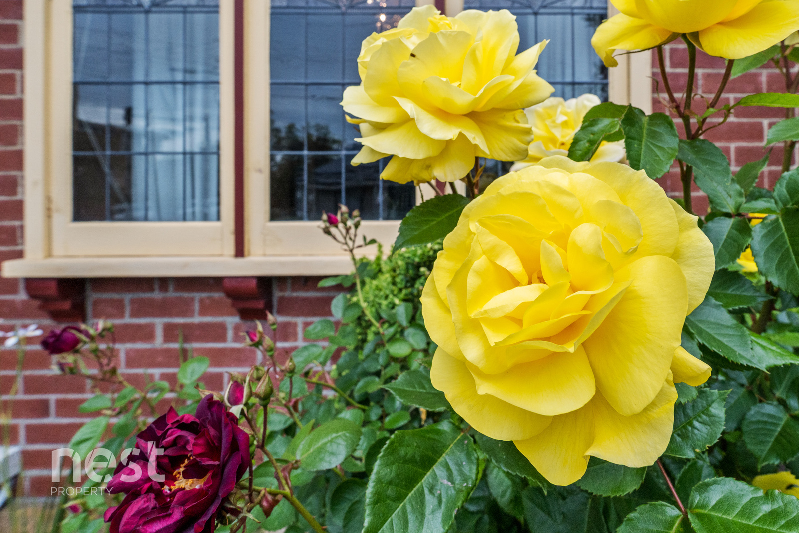3-bedroom house at 99 King Street, Sandy Bay, TAS 7005, Hobart, Tasmania