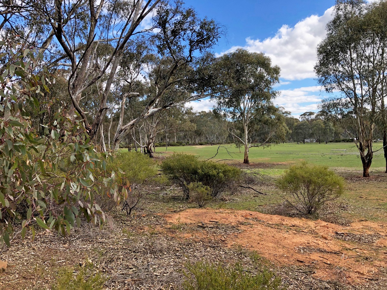 35 Wakefield Street, Wedderburn, Vic, 3518 - Image 6