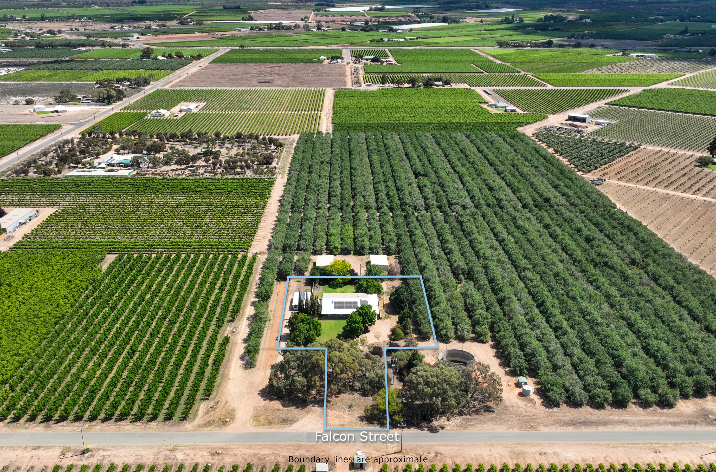 6-bedroom house at 23 Falcon Street, Renmark North, SA 5341, Renmark Paringa, South Australia