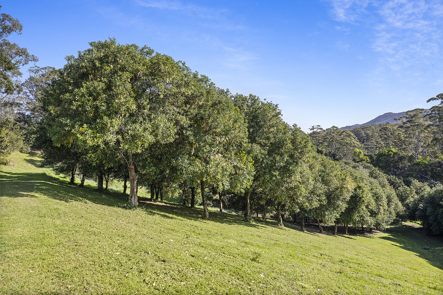 4-bedroom house at 65 Logans Road, Valla, Nsw, 2448, Nambucca Valley, New South Wales